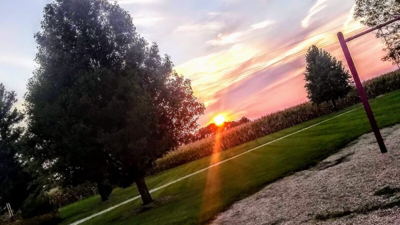 The Ball Diamond Park - Toluca, IL