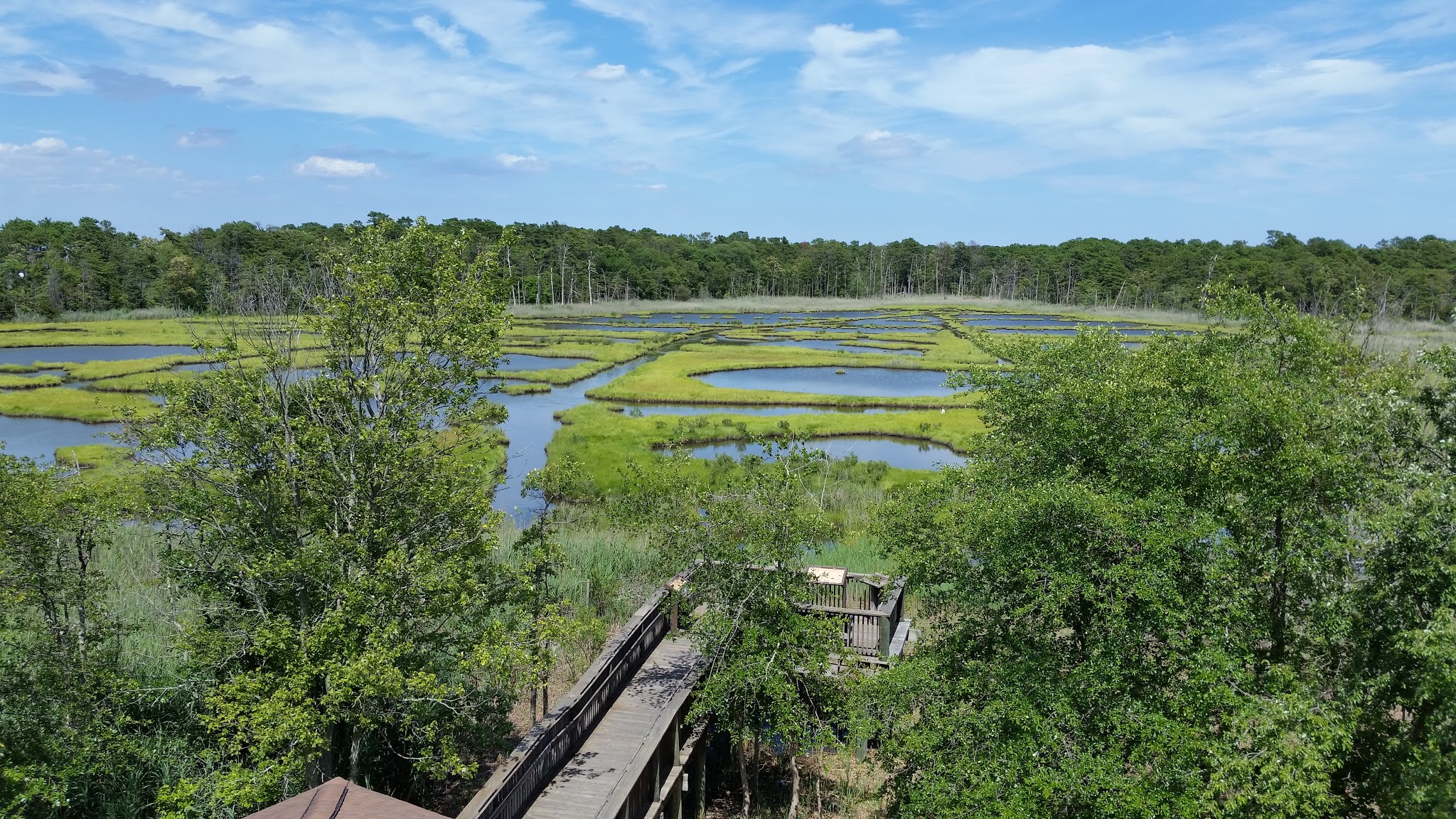 Cattus Island County Park - Toms River, NJ