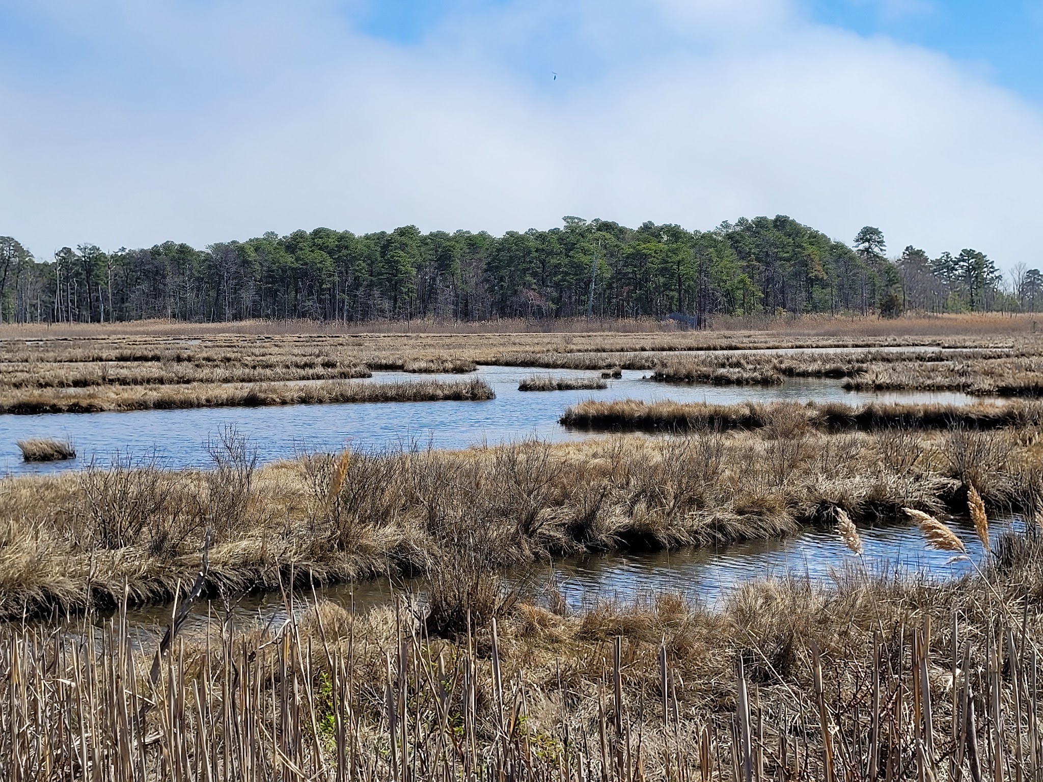 Cattus Island County Park Parking Lot - Toms River, NJ