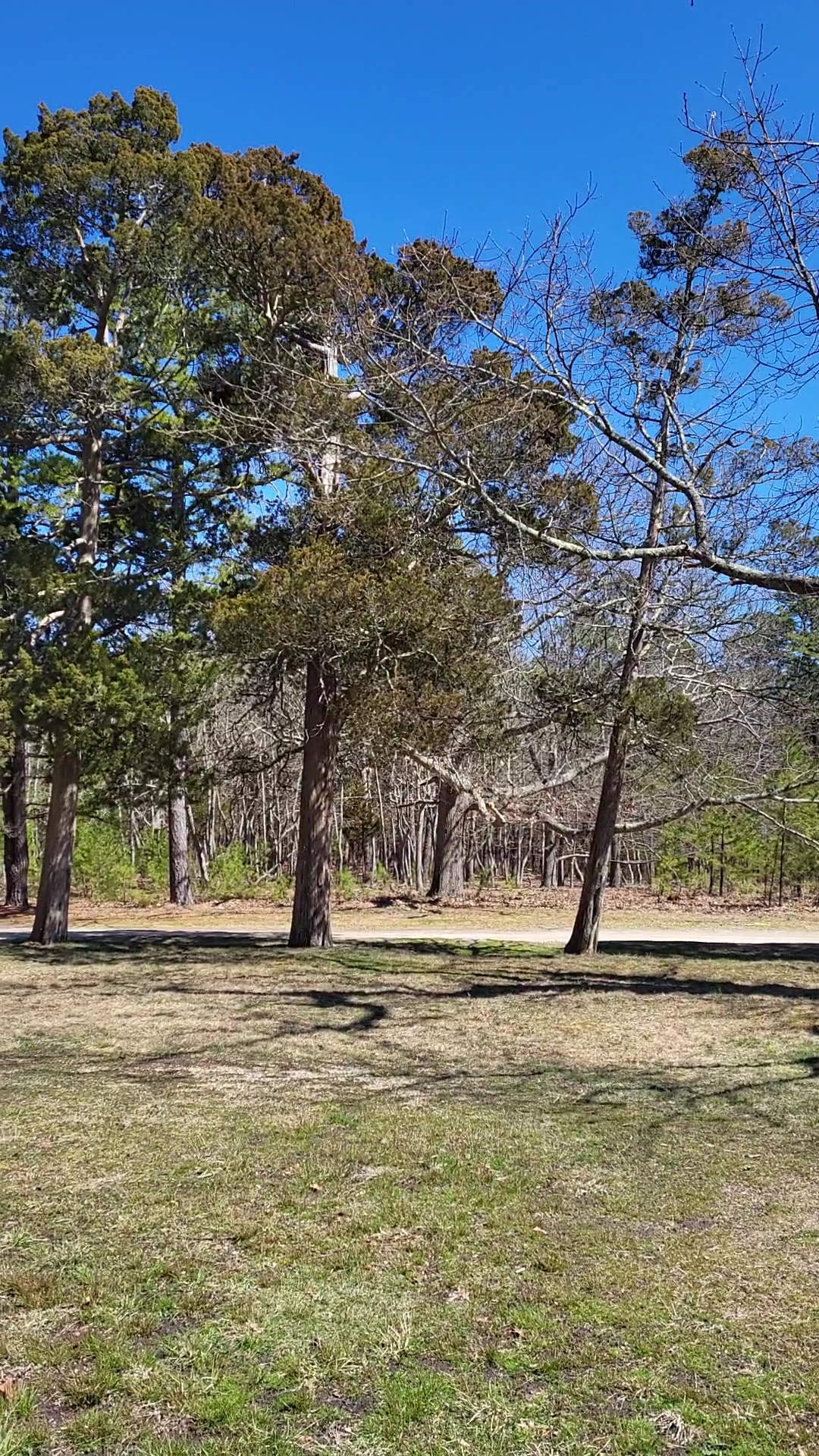 Cattus Island County Park - Toms River, NJ