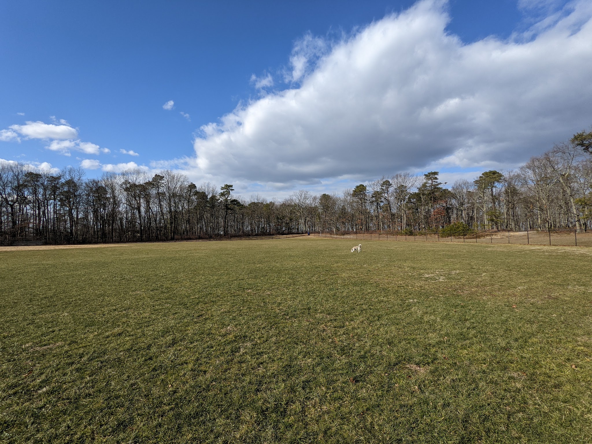 Skyview Park - Toms River, NJ