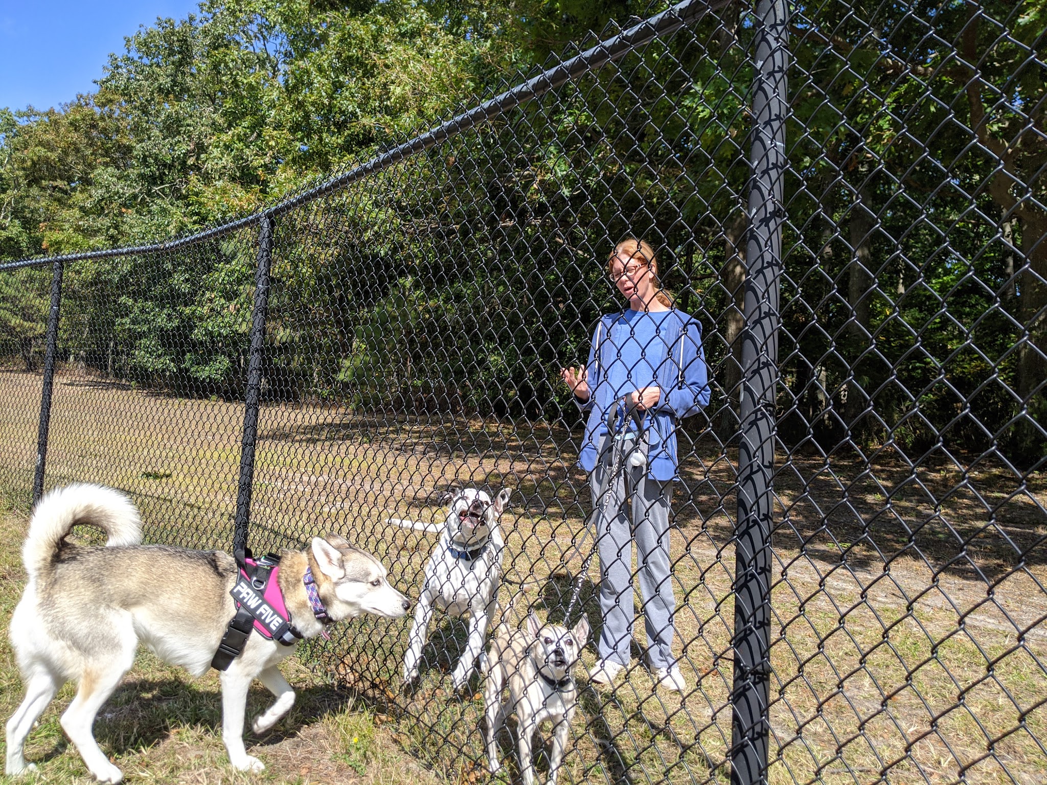 Skyview Park - Toms River, NJ