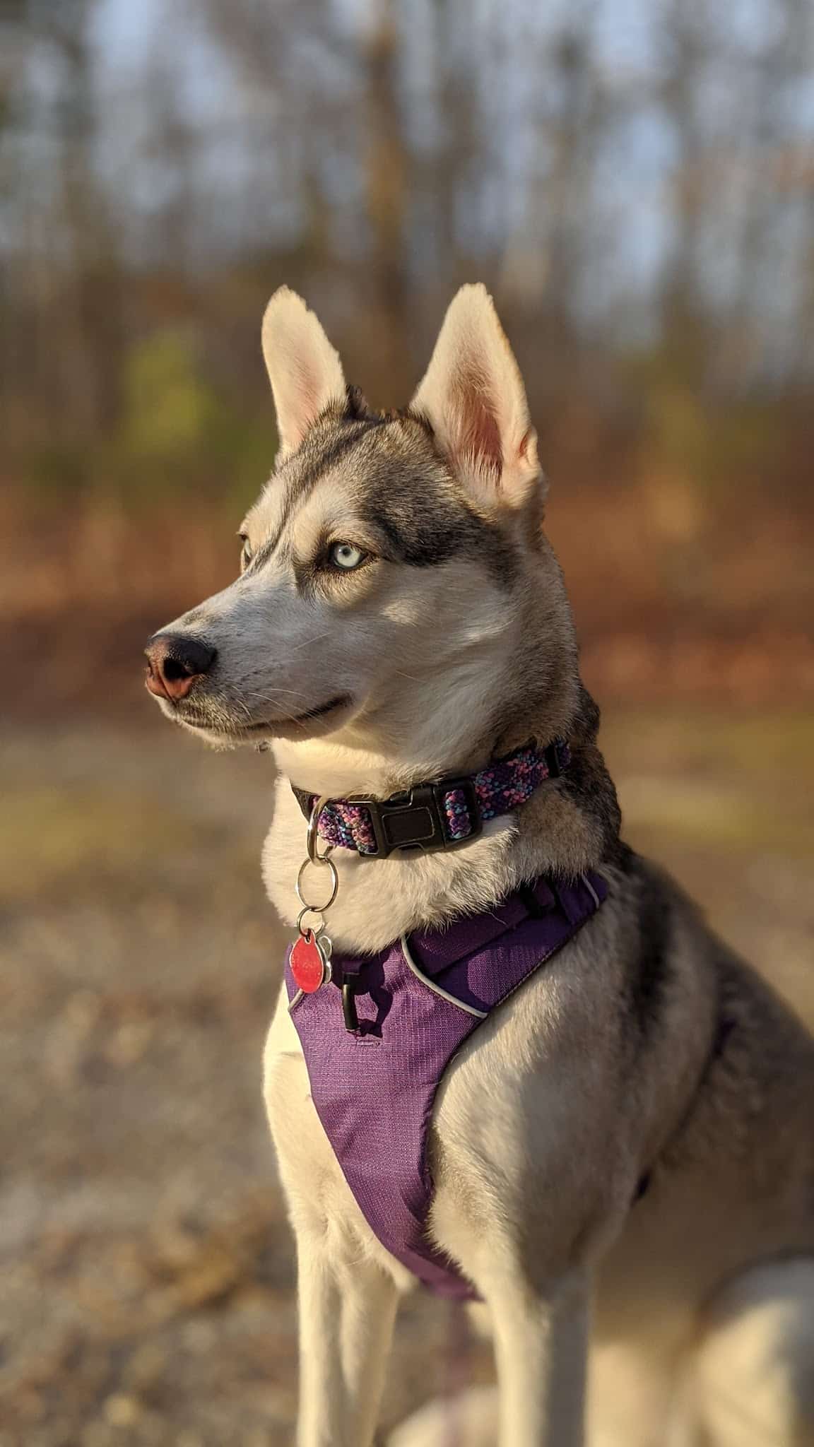 Skyview Park - Toms River, NJ