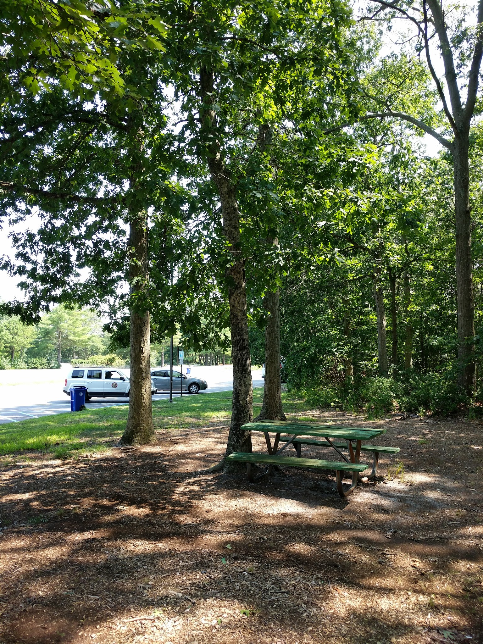 Skyview Park - Toms River, NJ