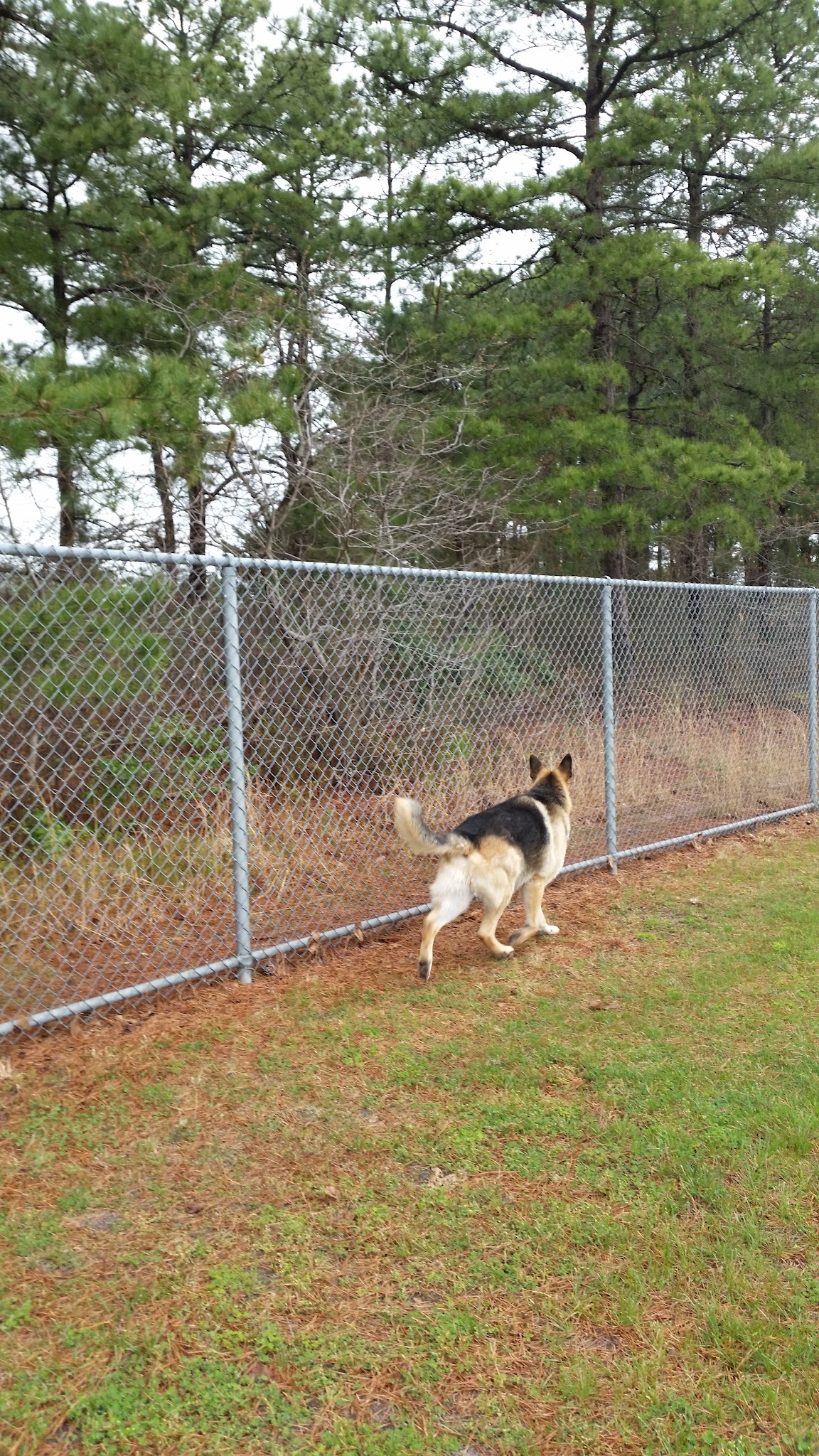 Whispering Pines Park - Toms River, NJ