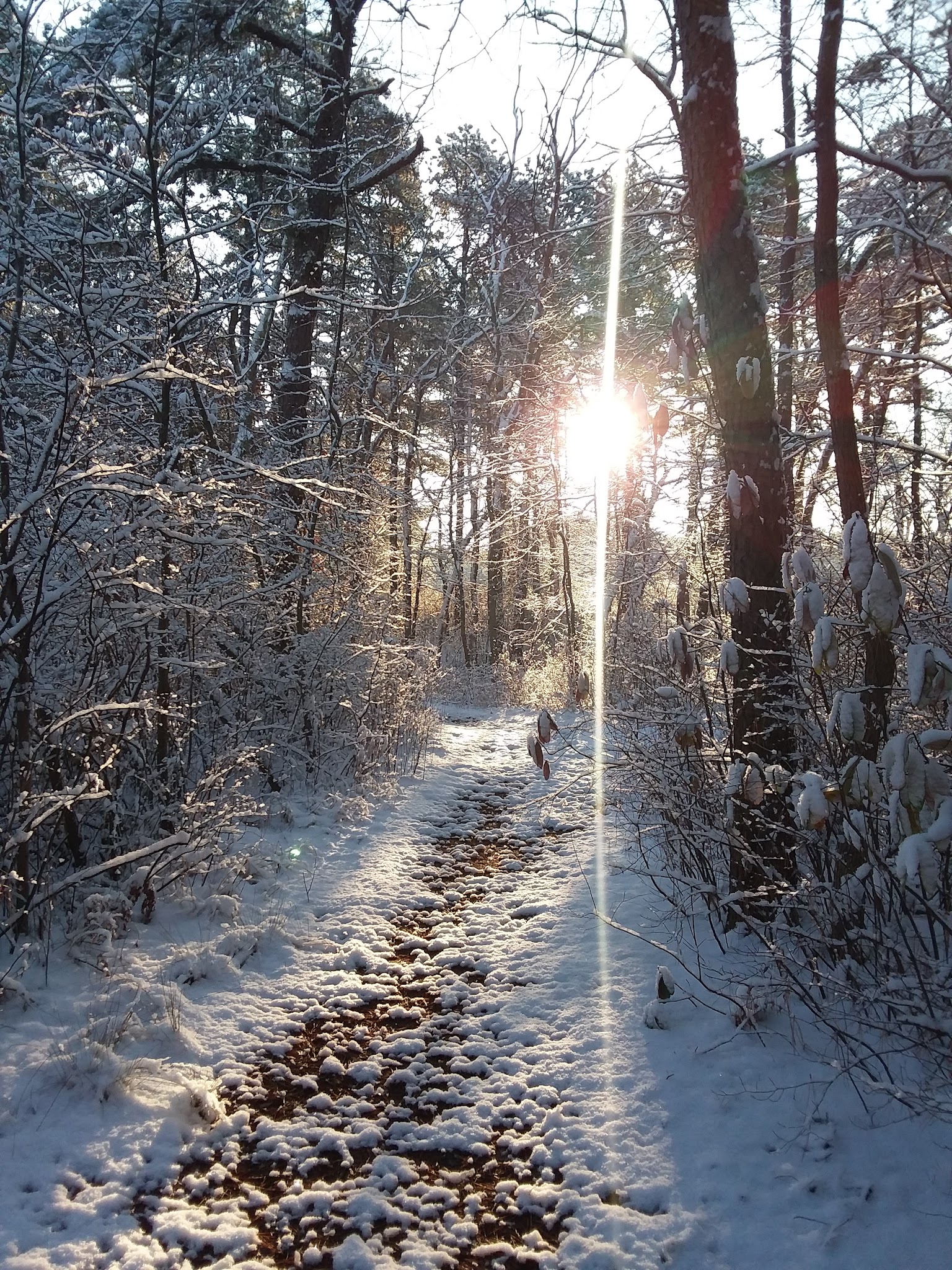 Winding River Park - Toms River, NJ