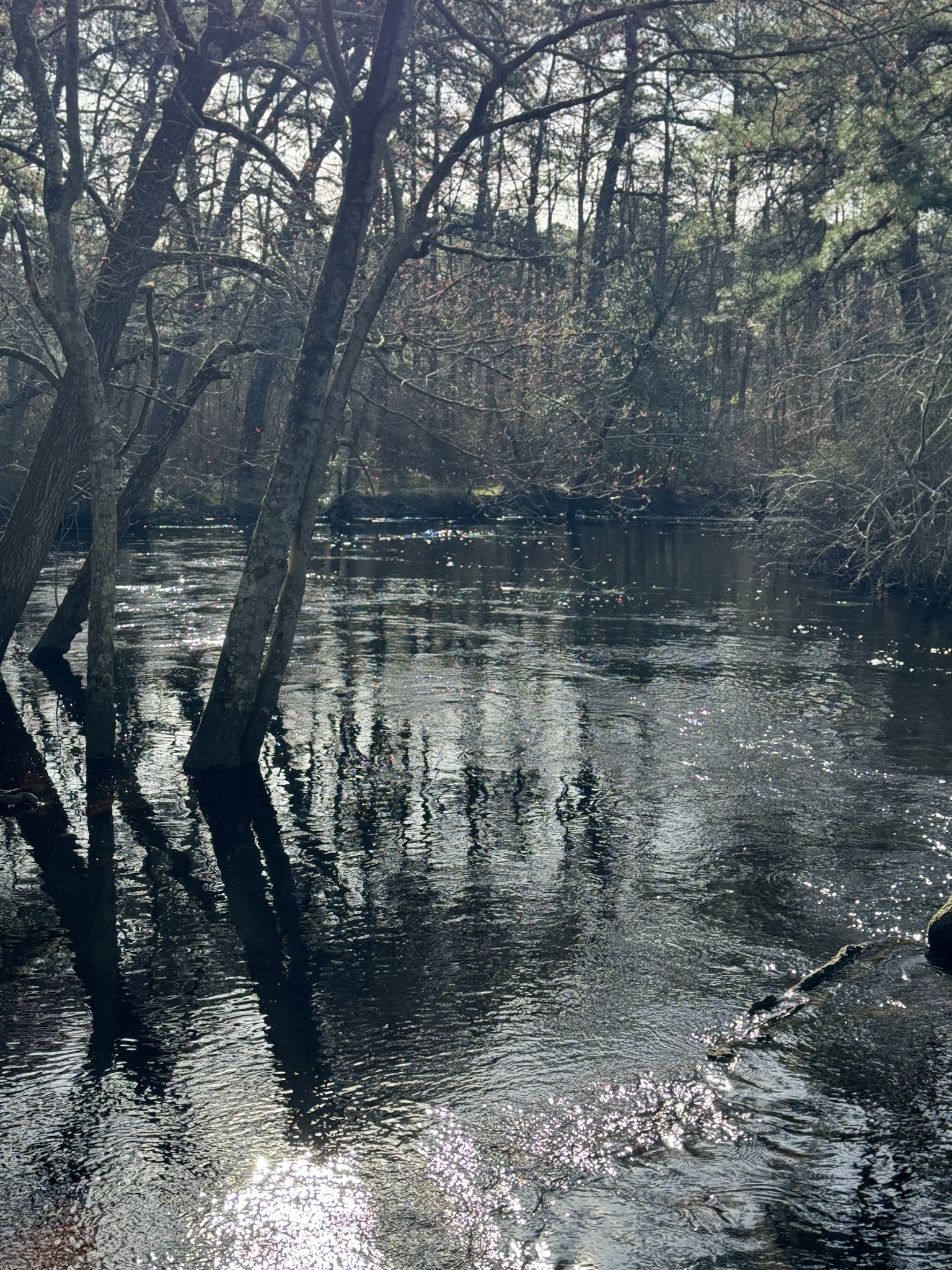 Winding River Park - Toms River, NJ