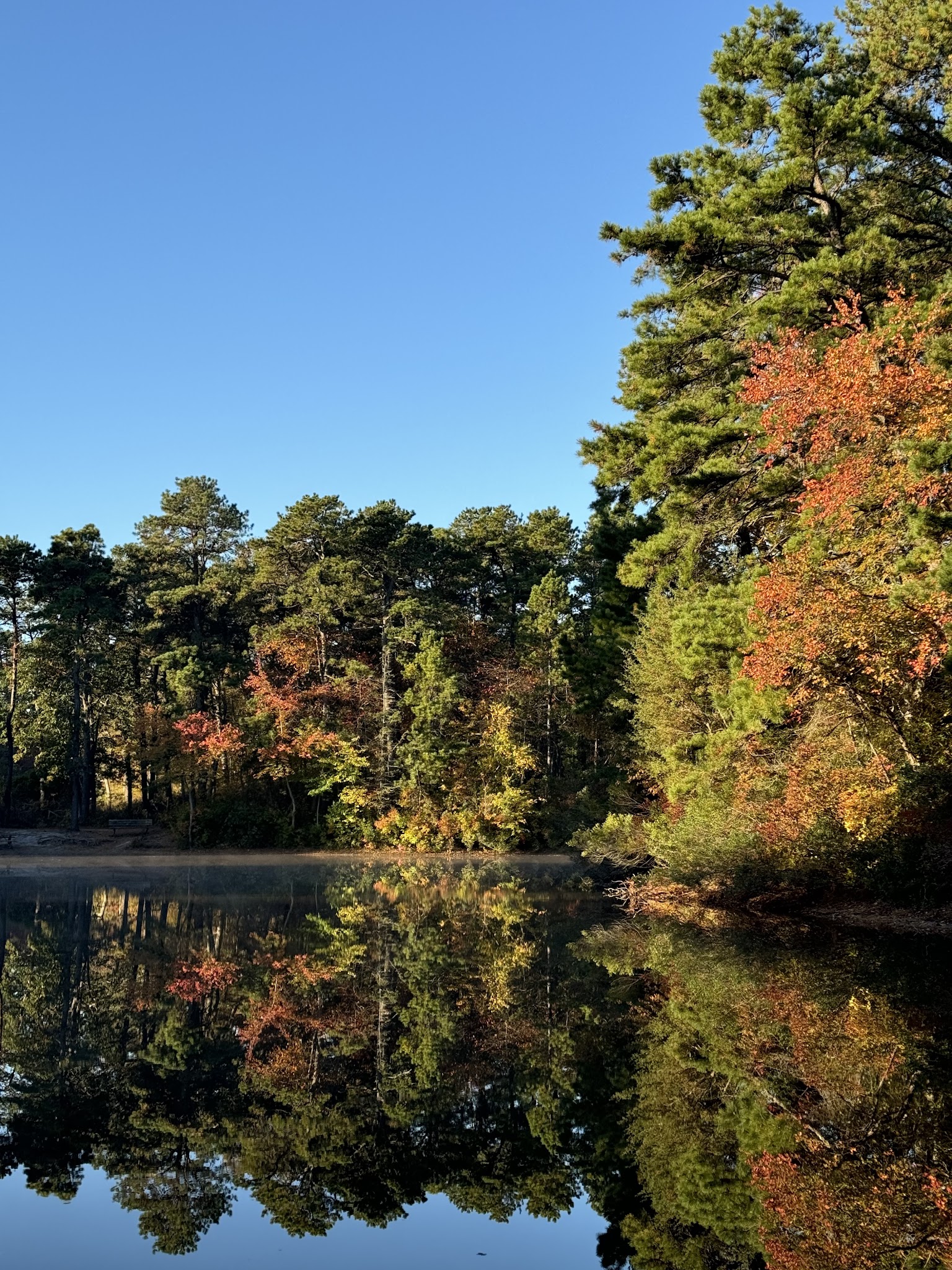 Winding River Park - Toms River, NJ