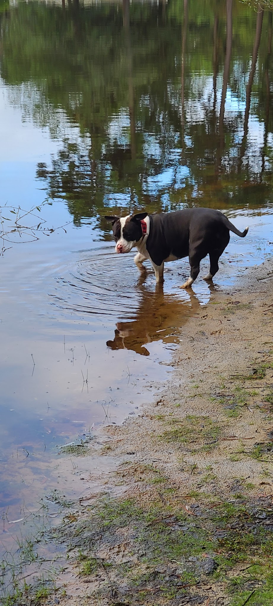 Winding River Park - Toms River, NJ