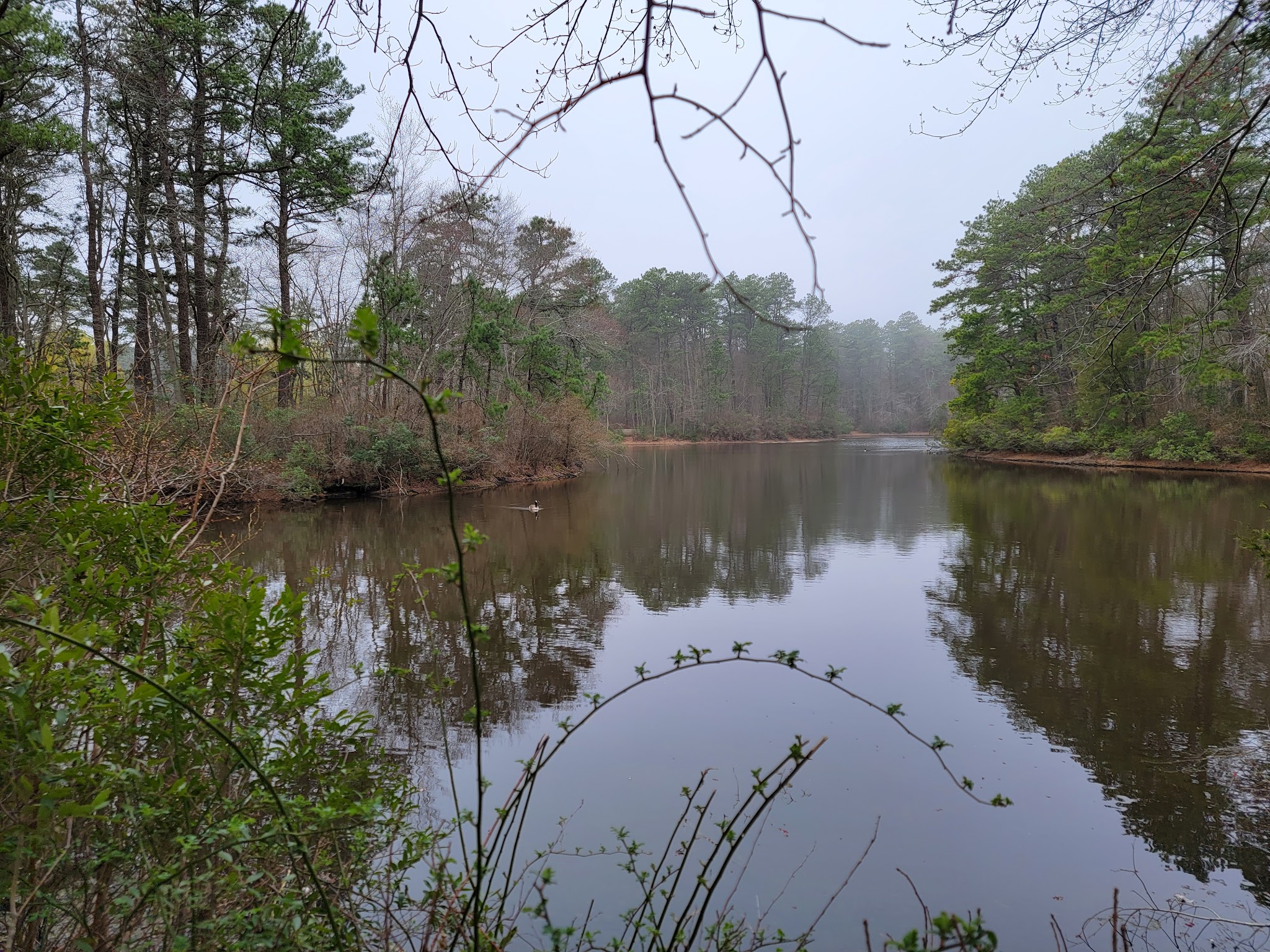 Winding River South Park Picnic Area - Toms River, NJ