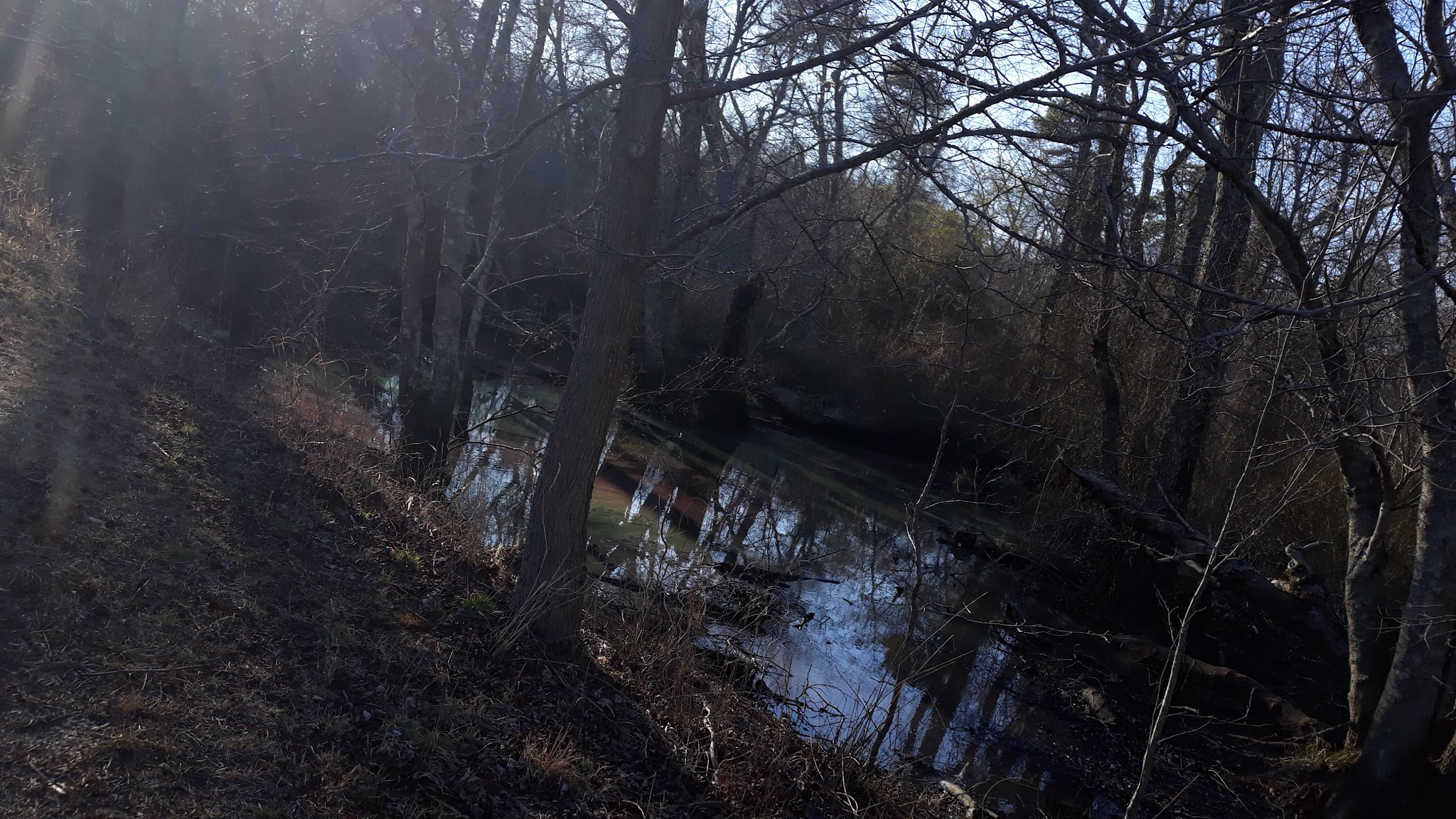Winding River South Park Picnic Area - Toms River, NJ