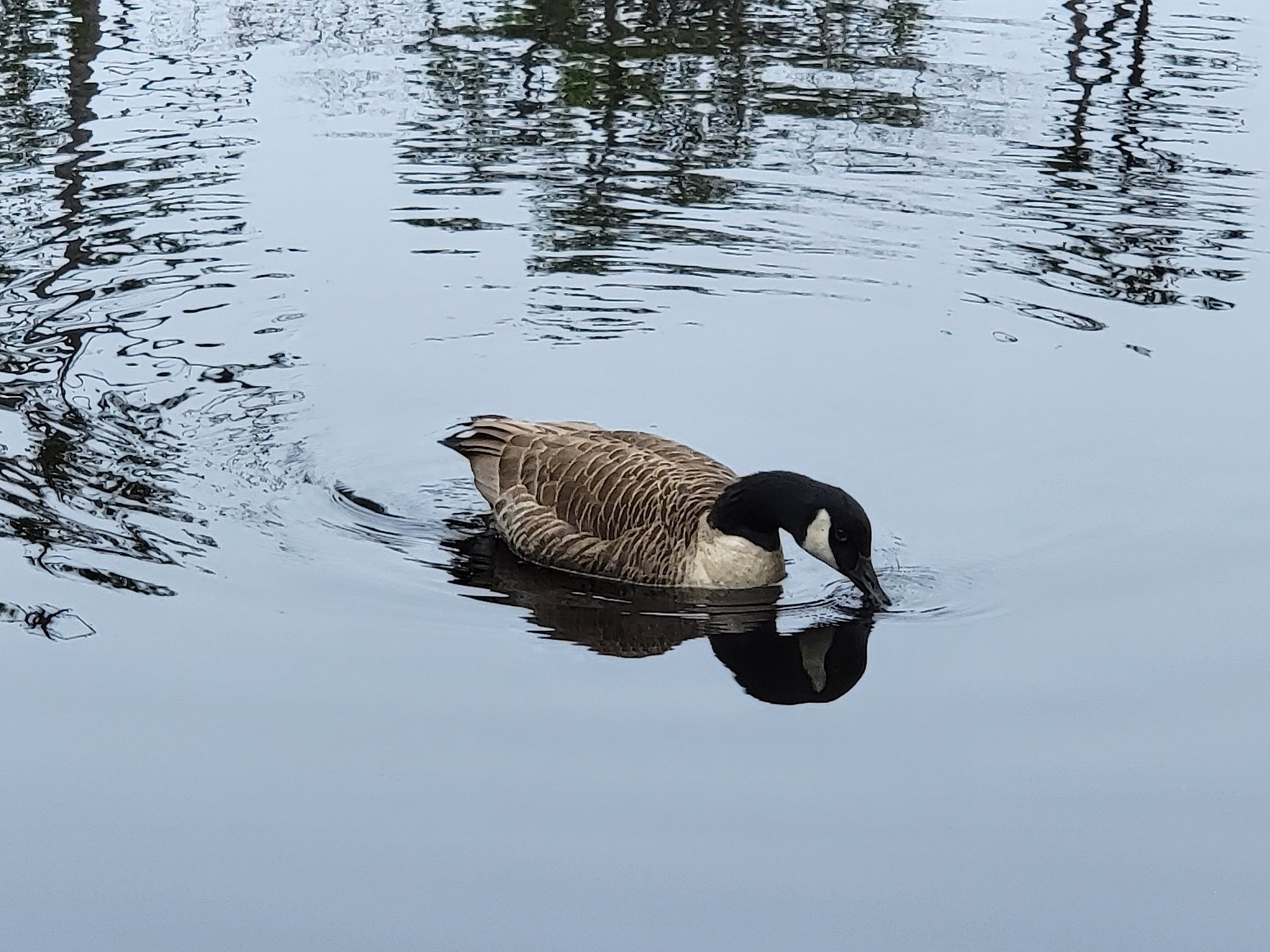 Winding River South Park Picnic Area - Toms River, NJ