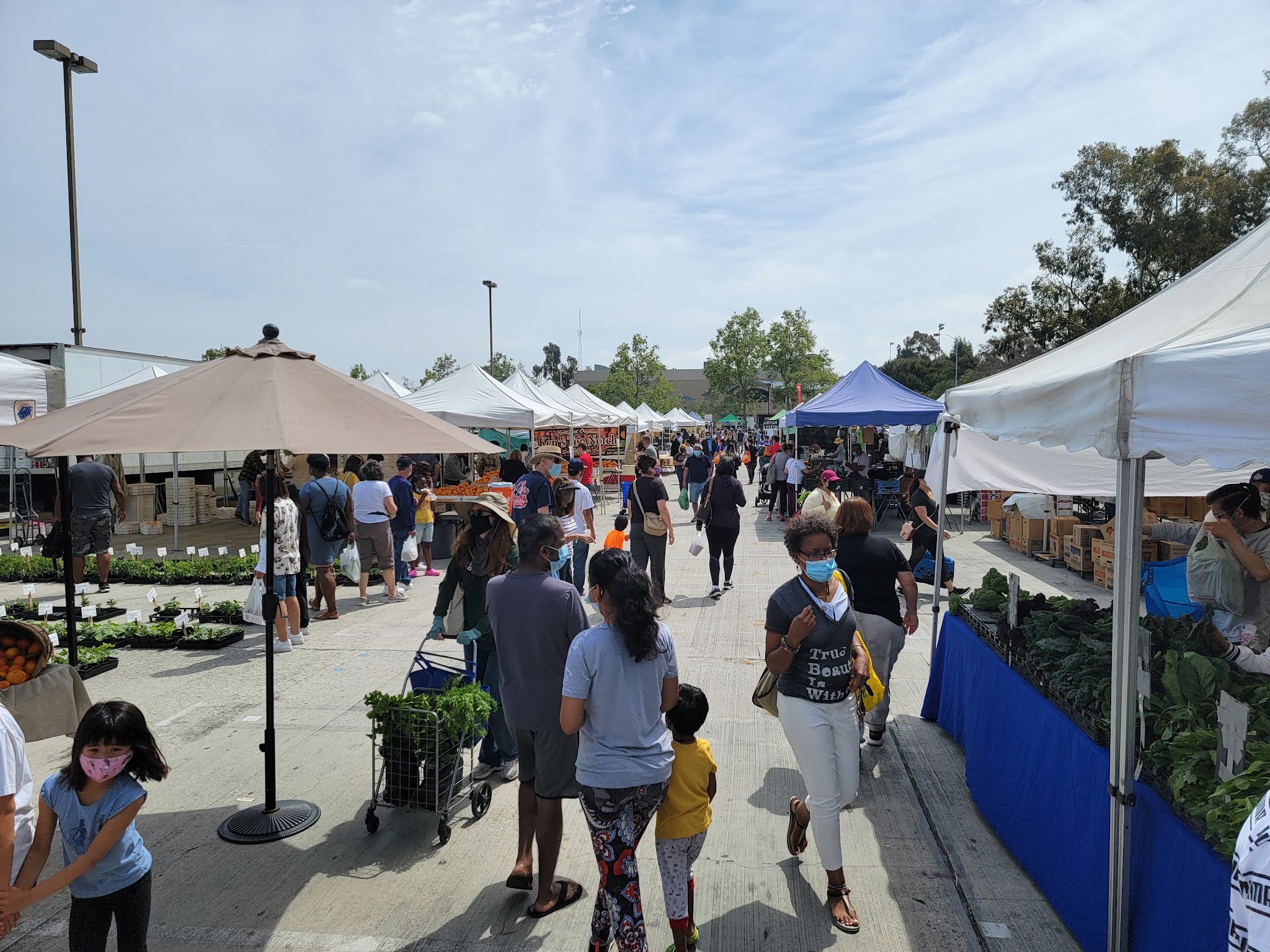 Charles H. Wilson Park - Torrance, CA