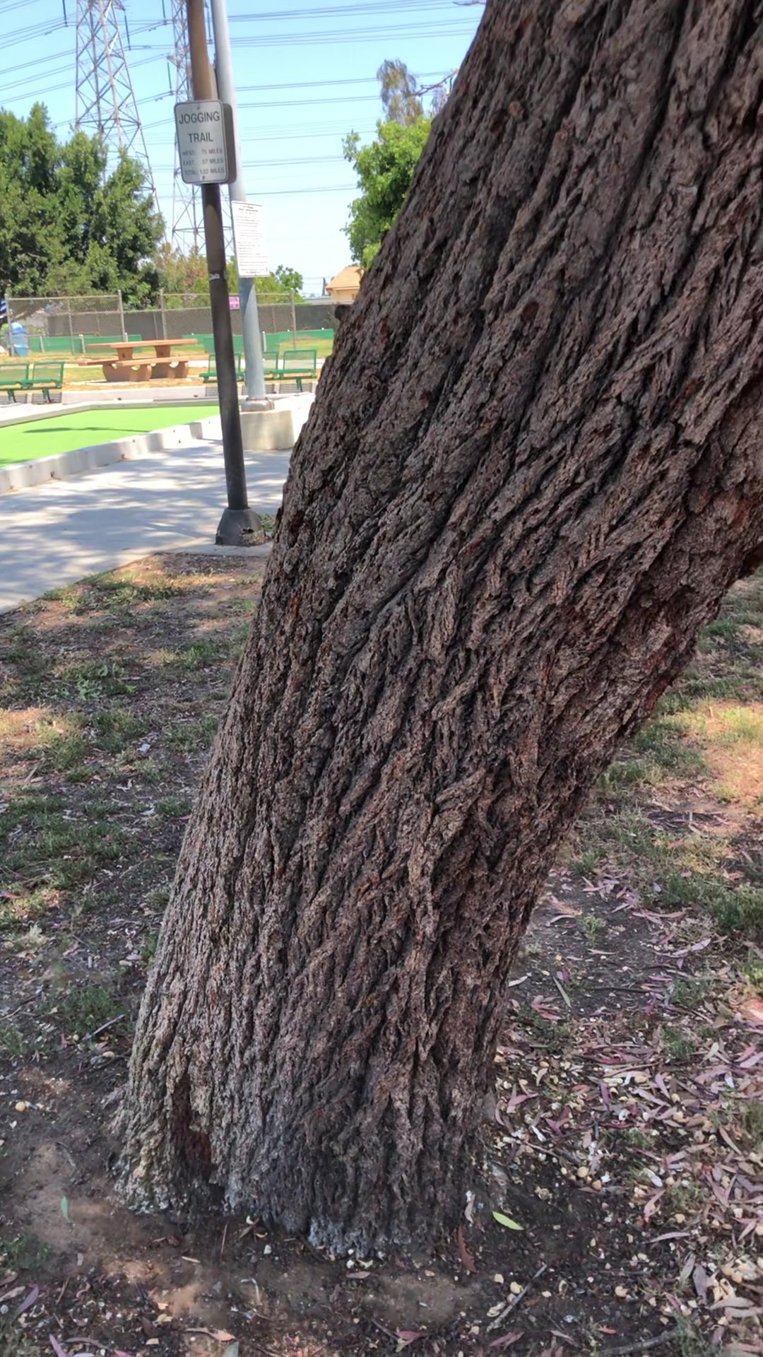 Columbia Park - Torrance, CA