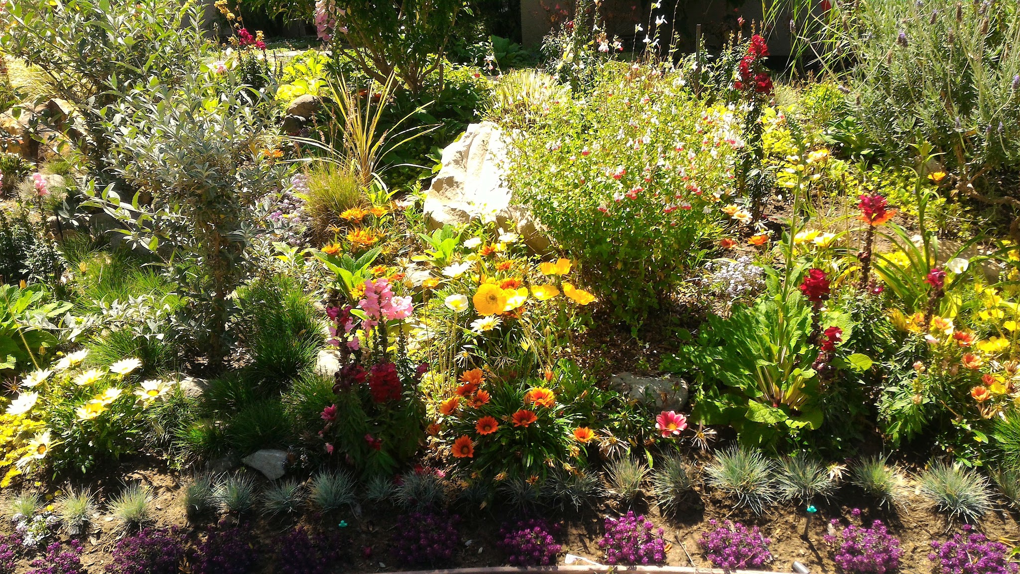 Greenwood Park - Torrance, CA