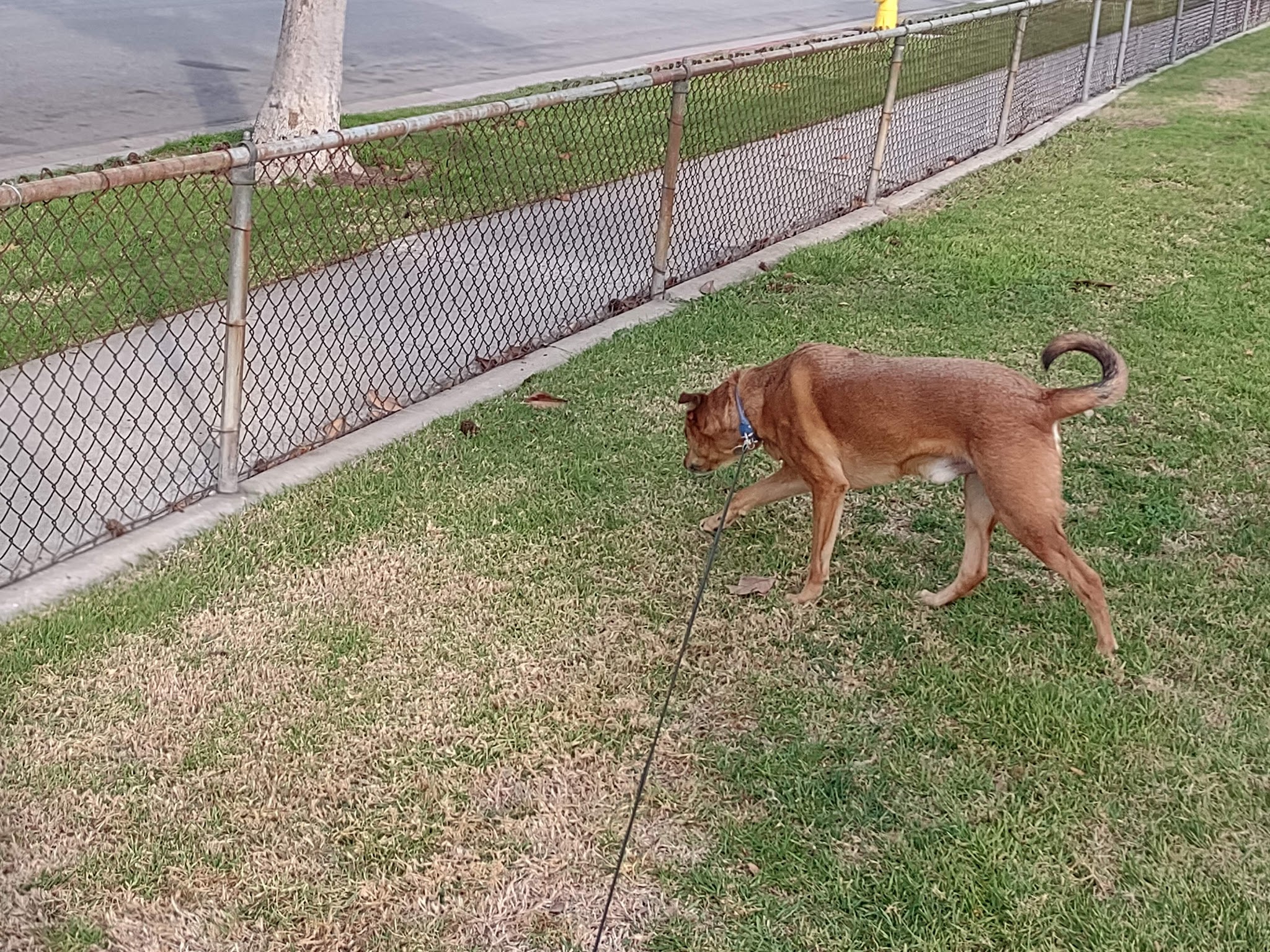 La Carretera Park - Torrance, CA