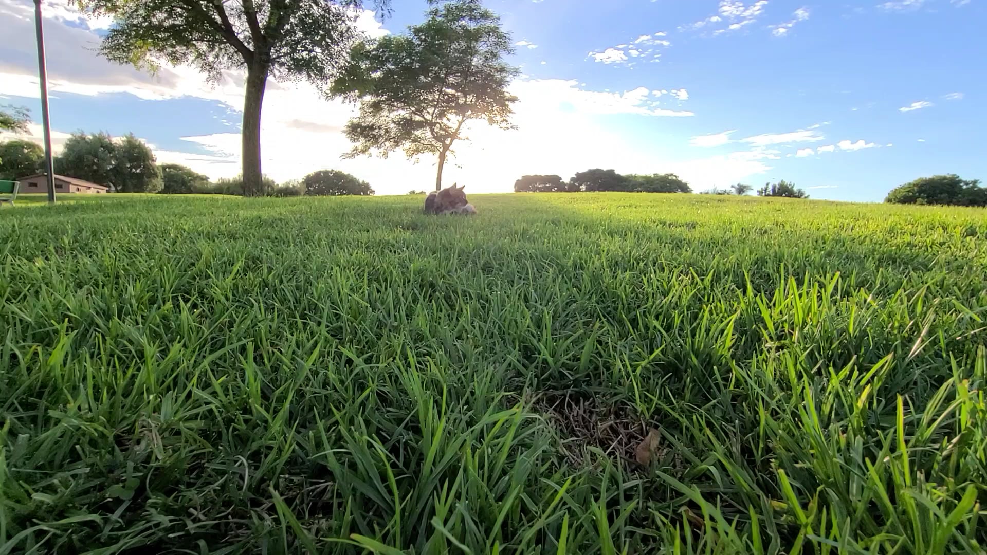 Lago Seco Park - Torrance, CA