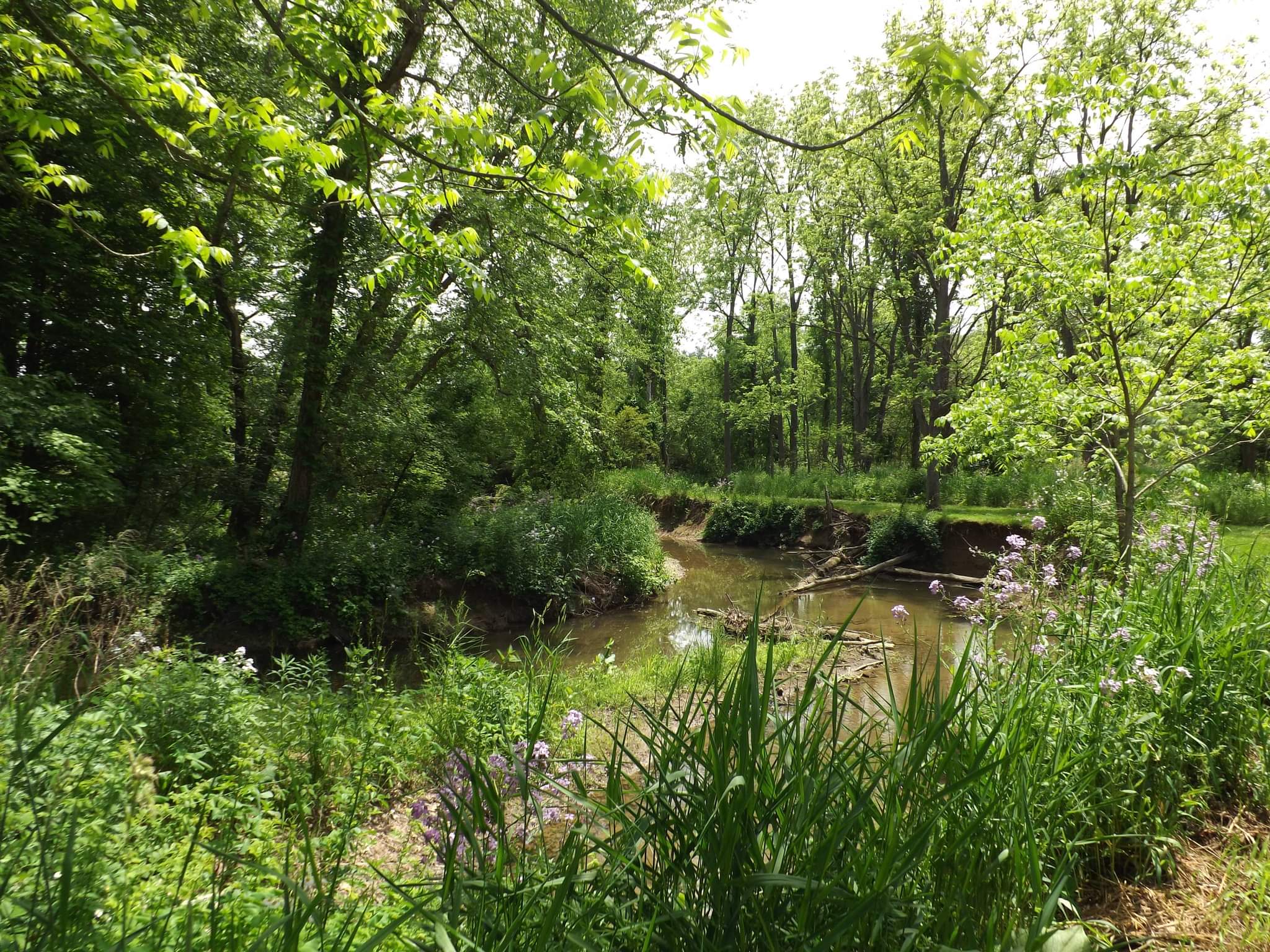 Warrior Run Trailways - Turbotville, PA