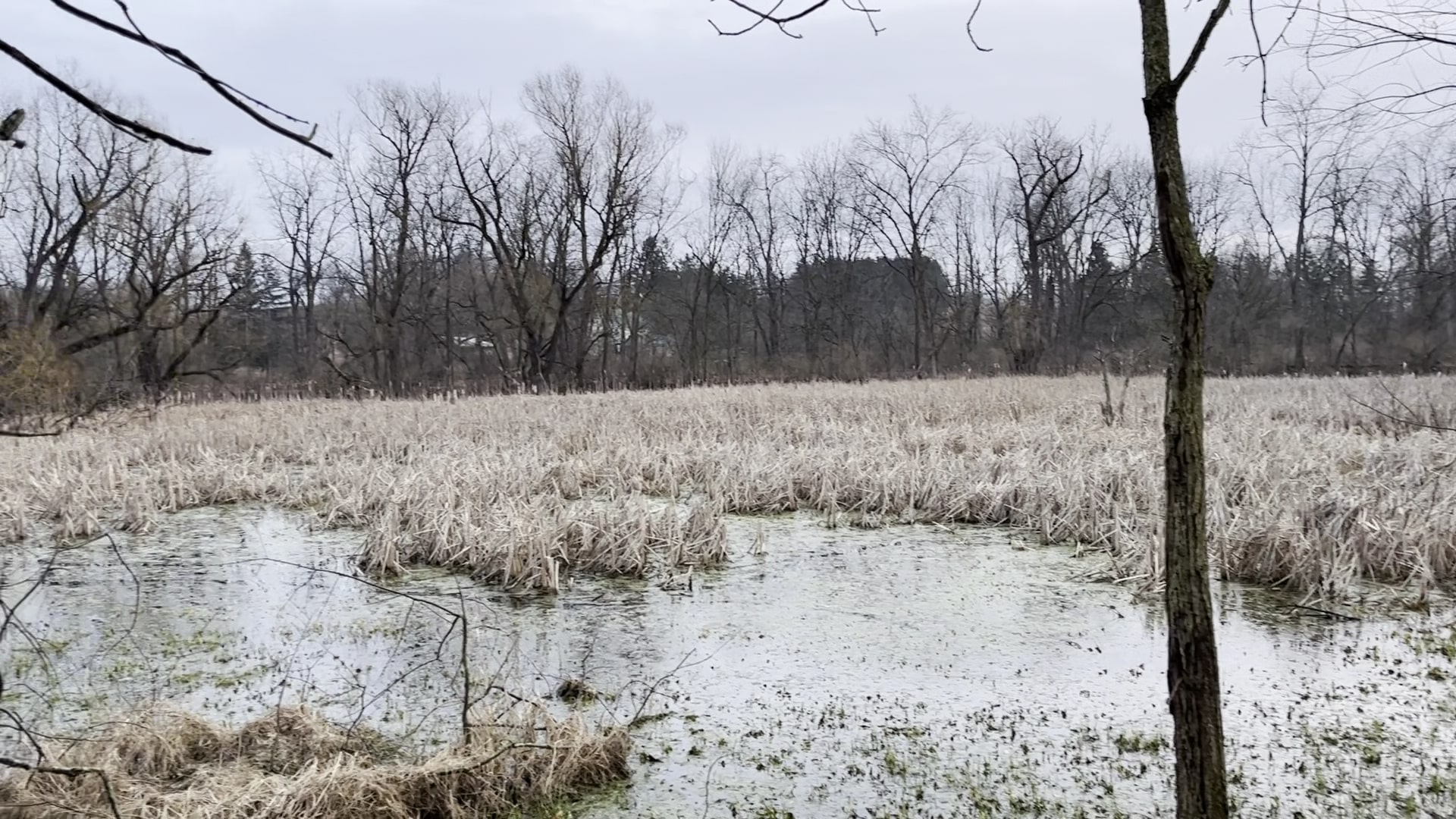 Warrior Run Trailways - Turbotville, PA