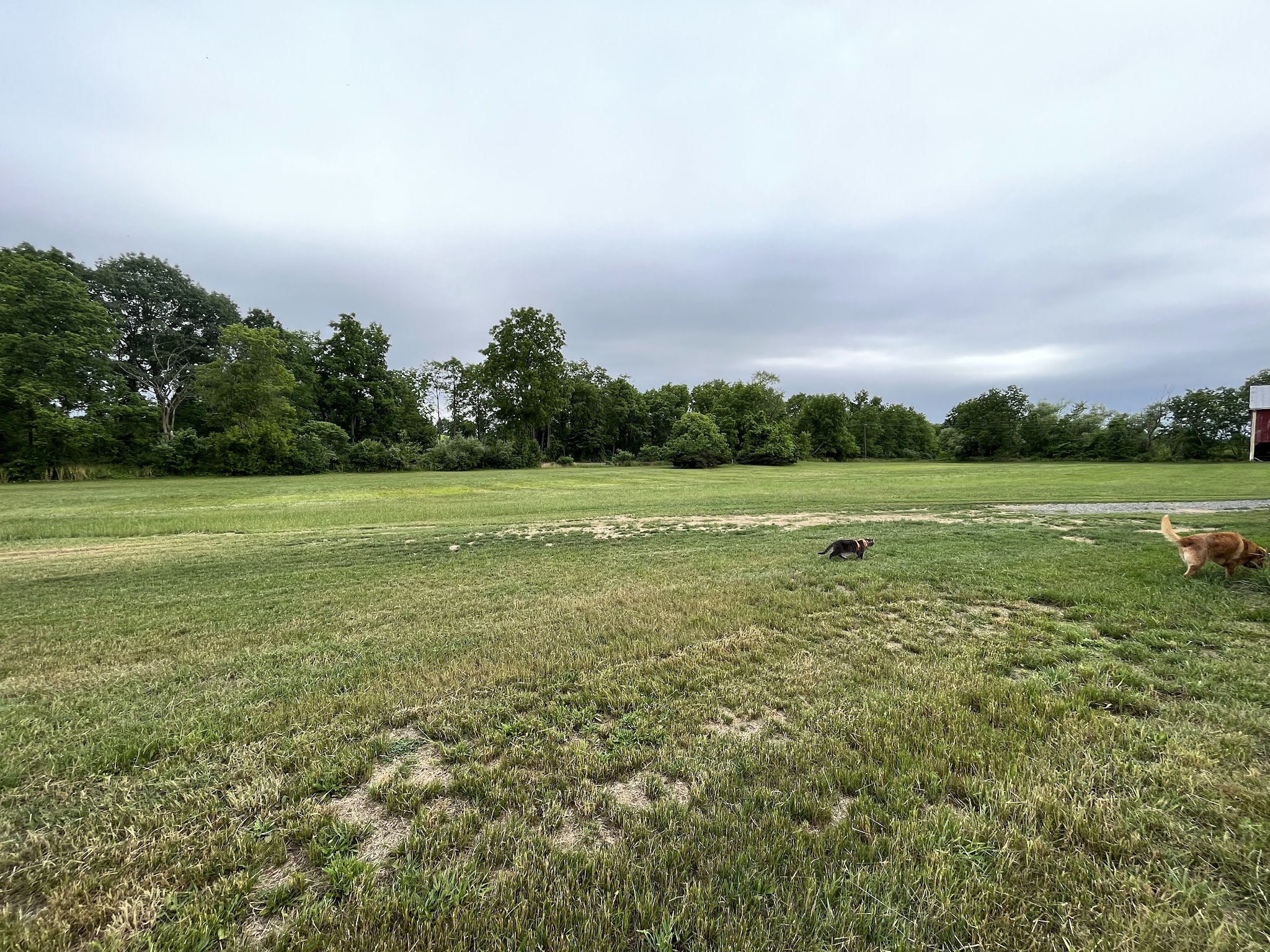 Warrior Run Trailways - Turbotville, PA