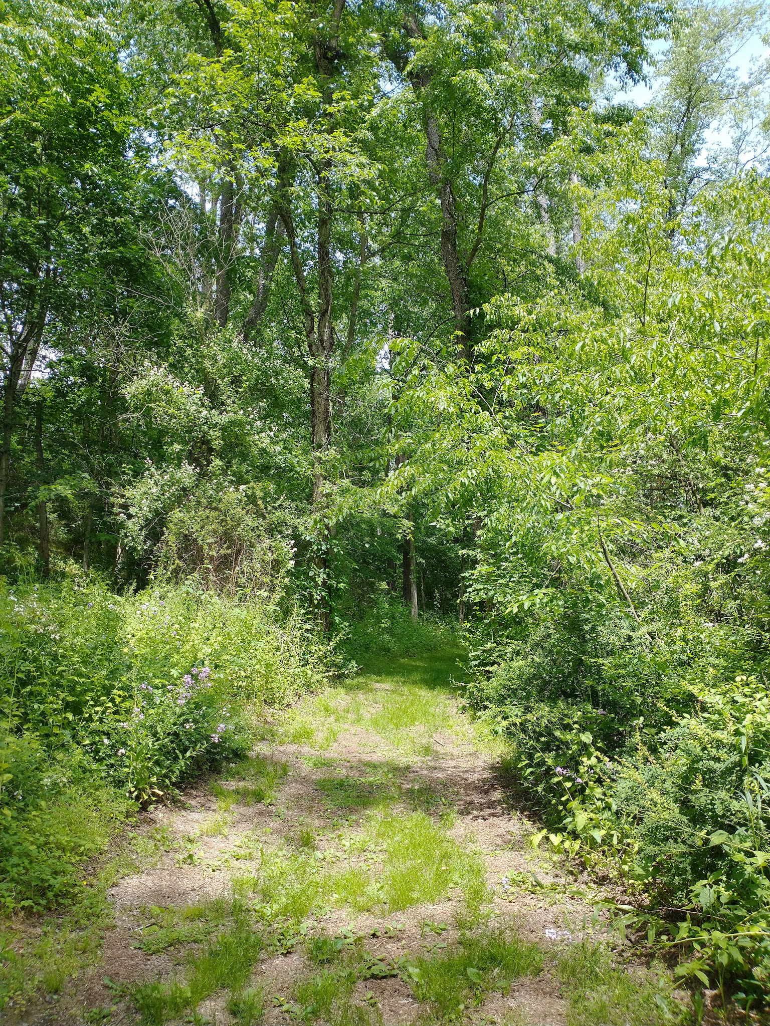 Warrior Run Trailways - Turbotville, PA