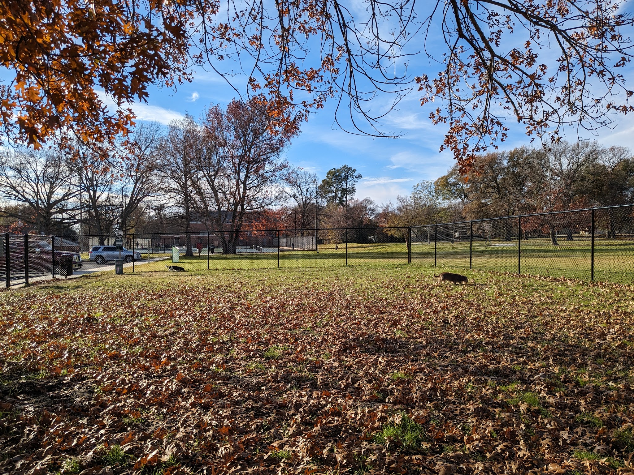 Pollard Park Dog Park - Tyler, TX