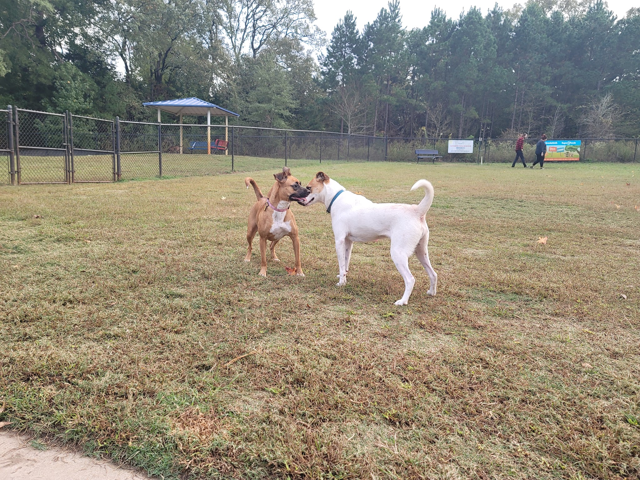 Sunrise Paw Park - Tyler, TX