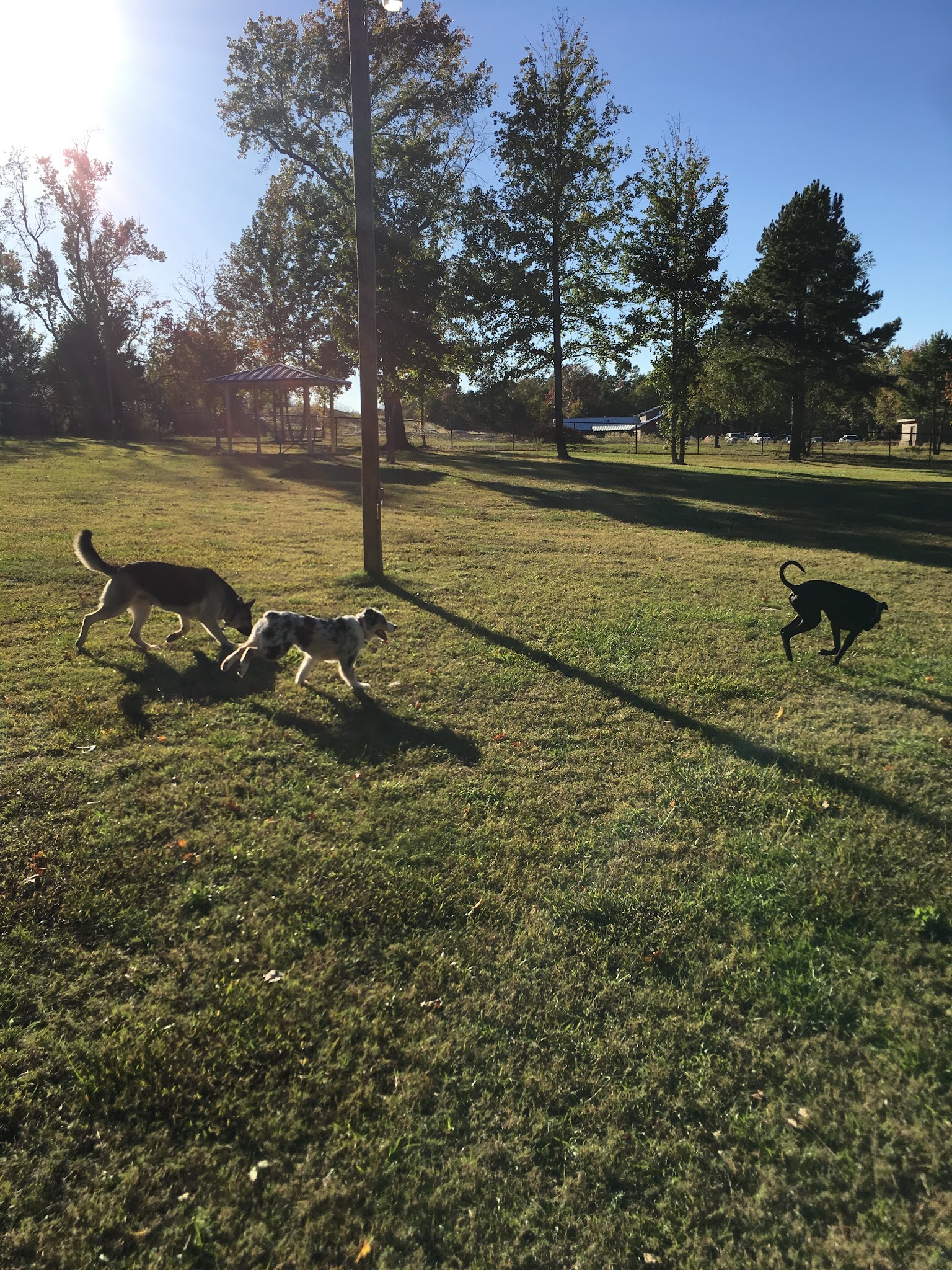 Sunrise Paw Park - Tyler, TX