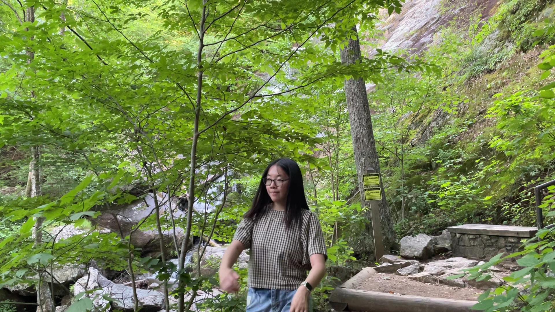 Crabtree Falls - Tyro, VA