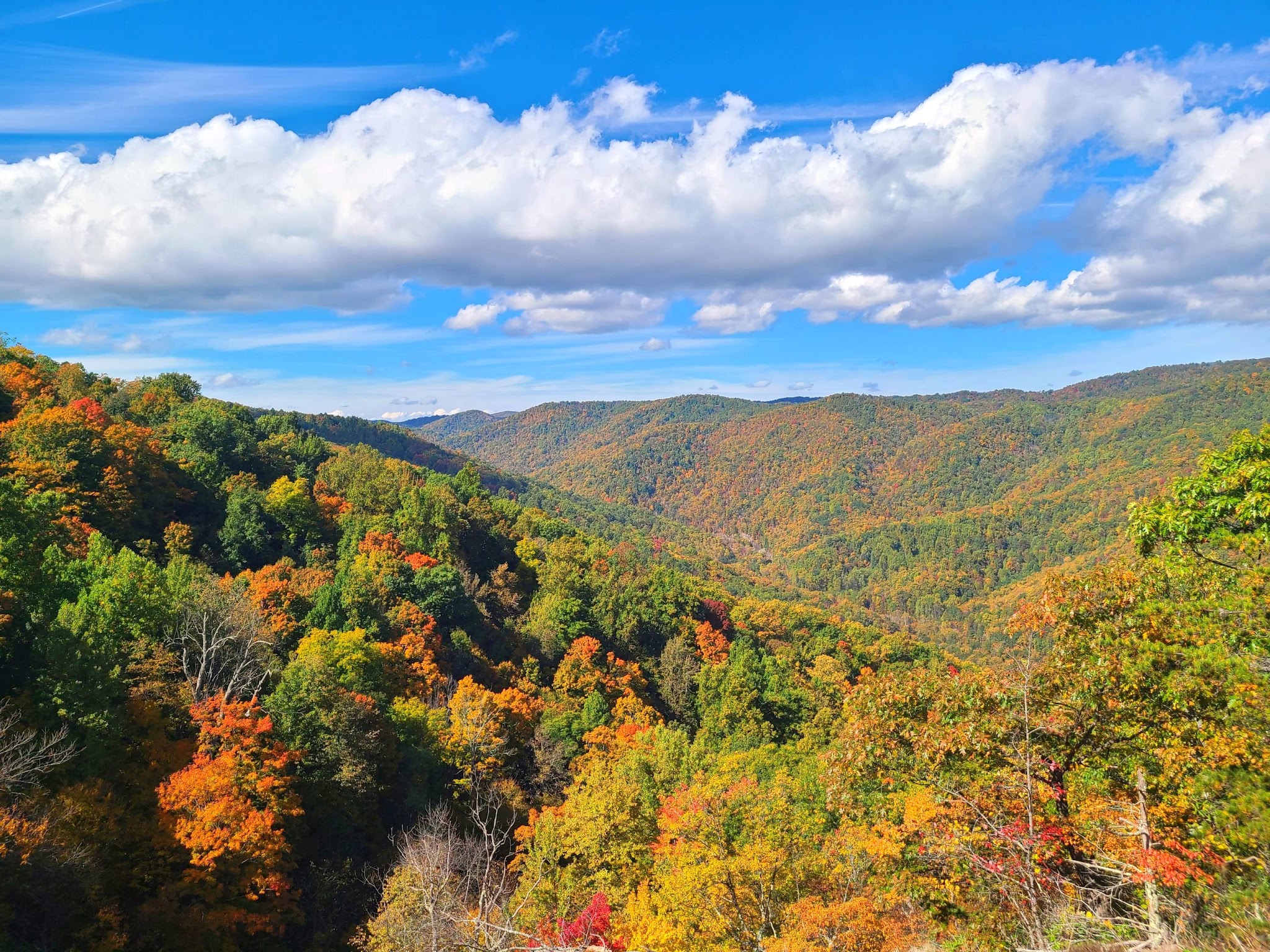 Crabtree Falls - Tyro, VA