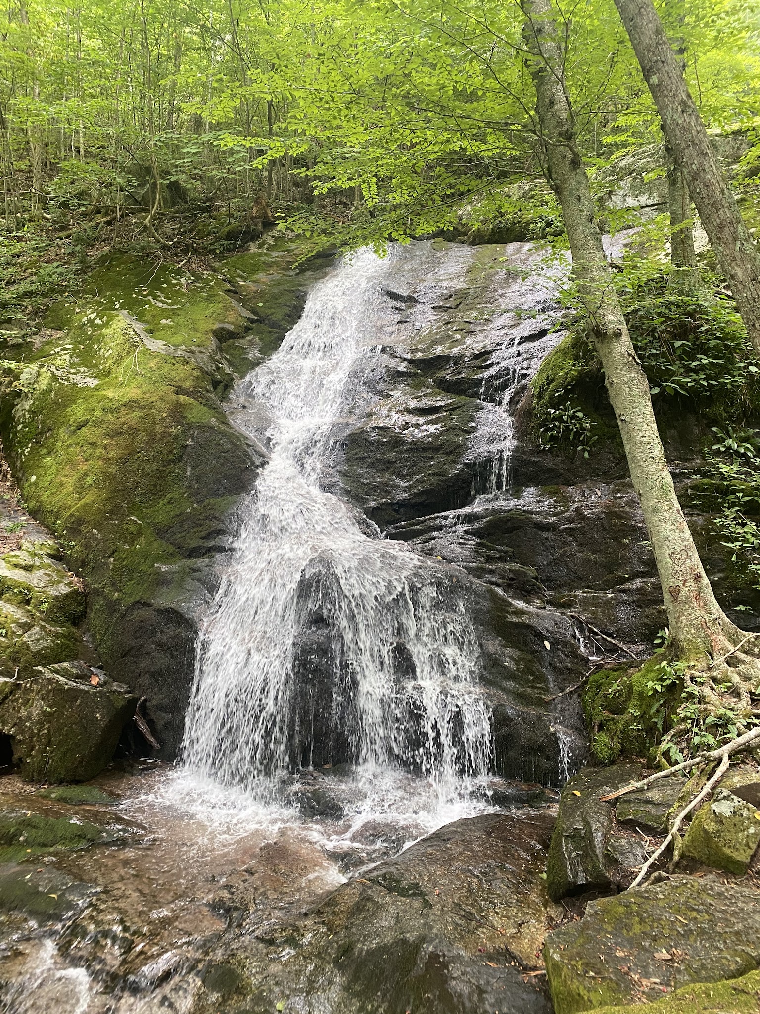Crabtree Falls - Tyro, VA