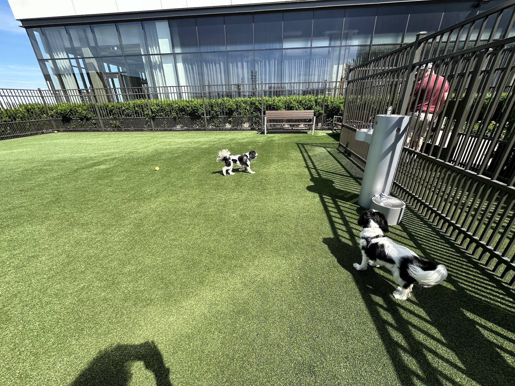 The Perch Sky Dog Park - Tysons, VA