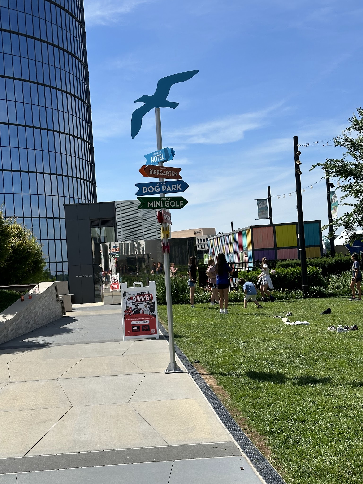 The Perch Sky Dog Park - Tysons, VA