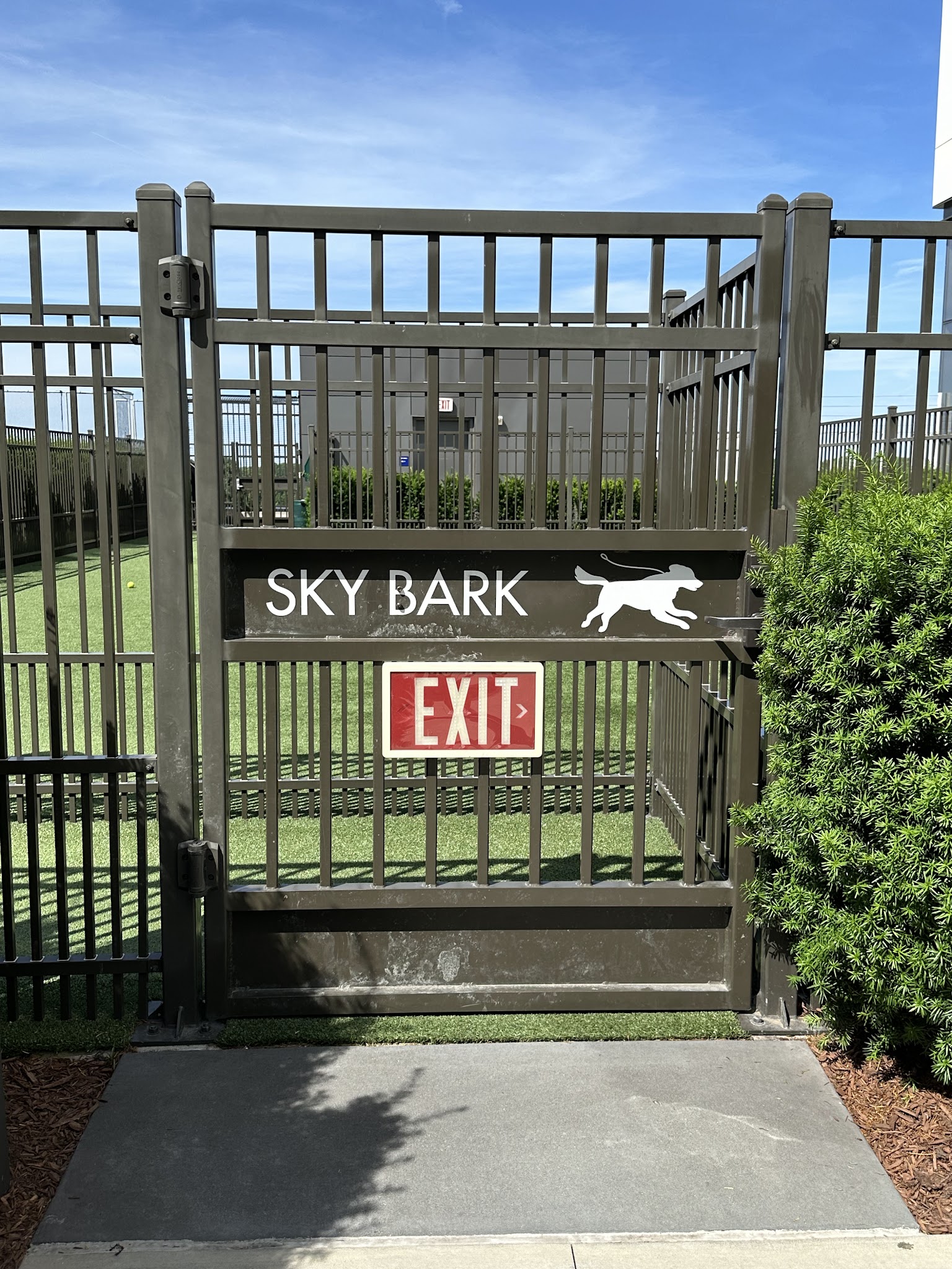 The Perch Sky Dog Park - Tysons, VA