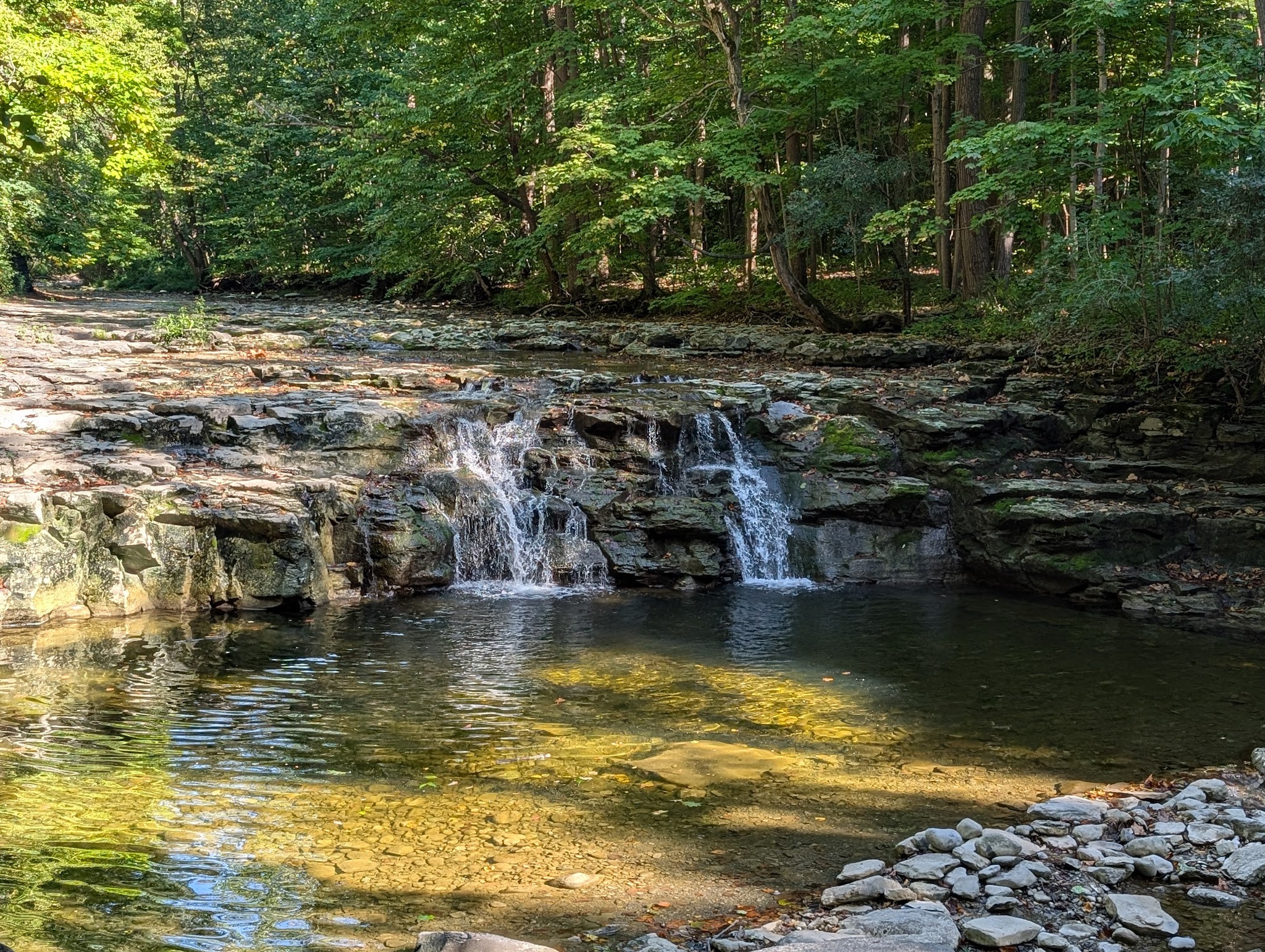 Great Gully - Union Springs, NY