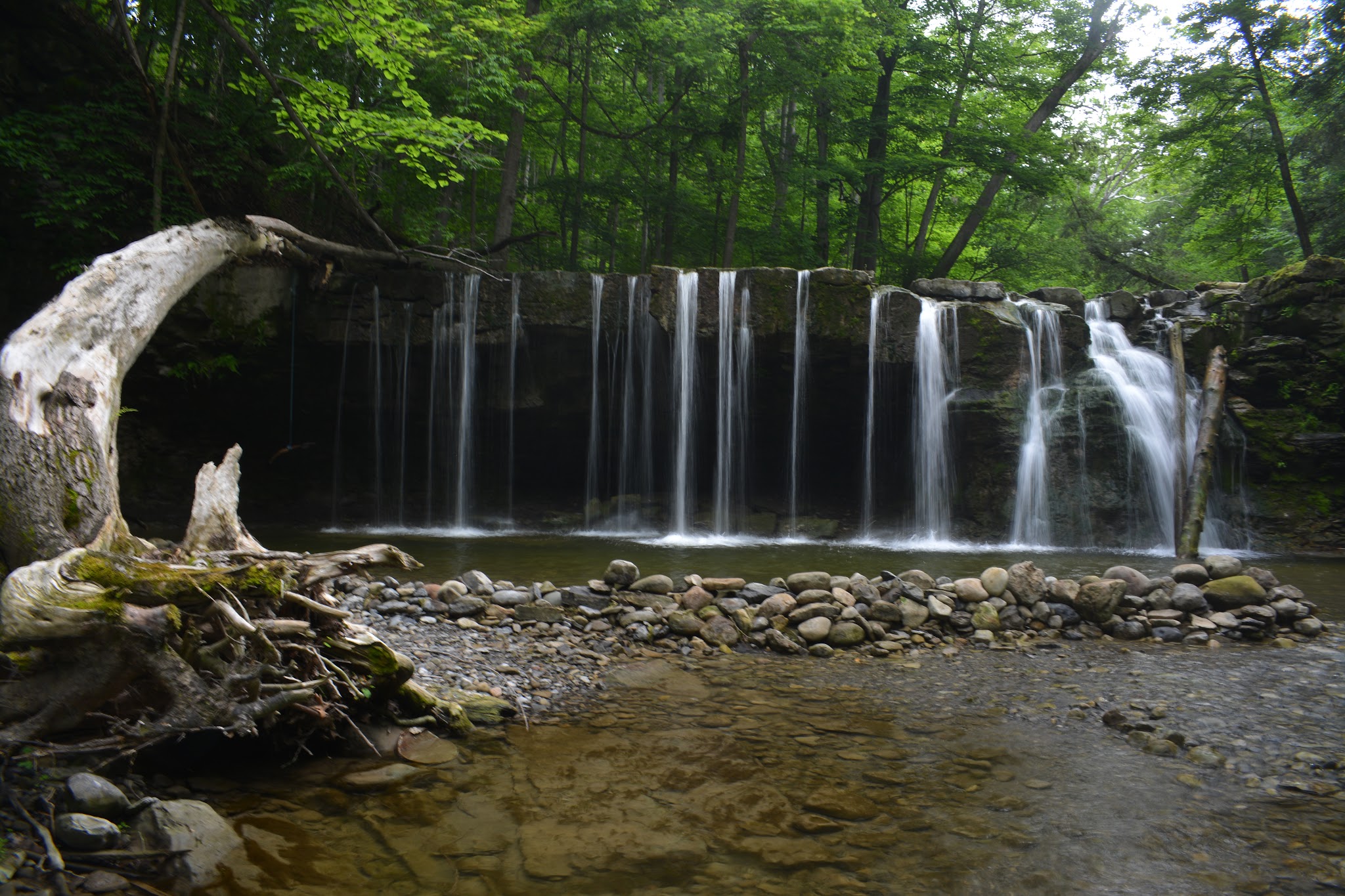 Great Gully - Union Springs, NY
