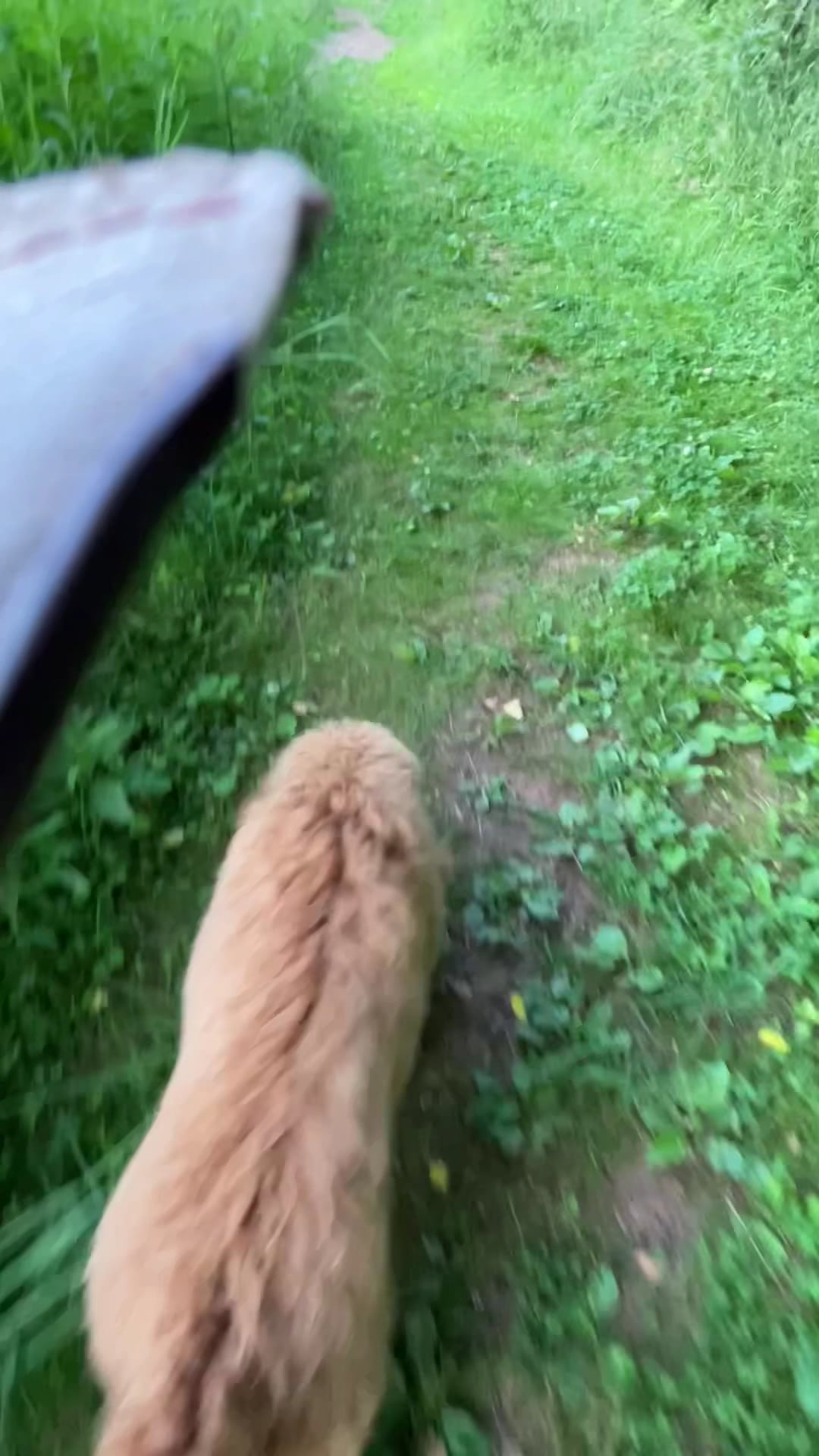 Foxhaven Trails Parking - University, VA