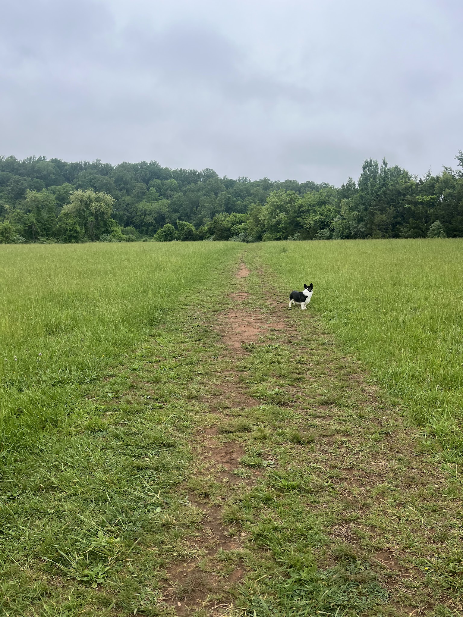 Foxhaven Trails Parking - University, VA