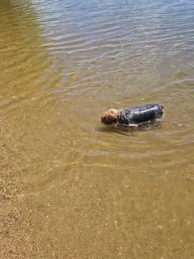 Madison Lake - US, MN