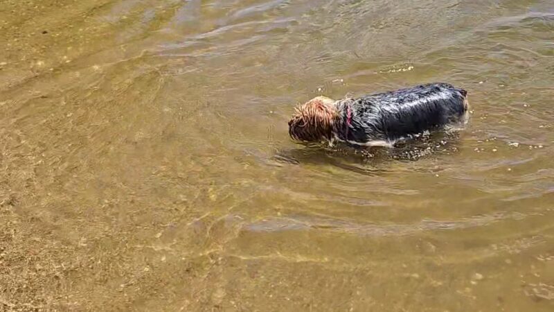 Madison Lake - US, MN