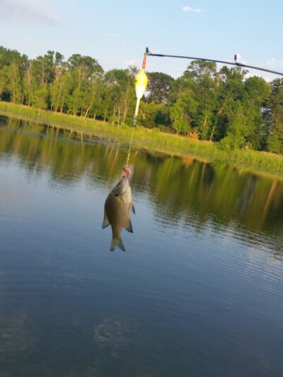 Madison Lake - US, MN