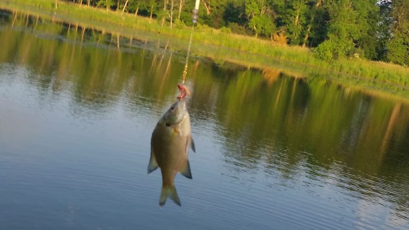 Madison Lake - US, MN