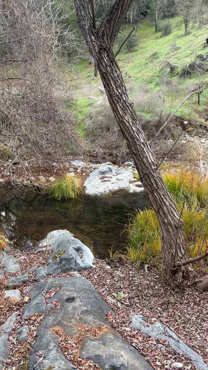Natural Bridges Trailhead - Vallecito, CA