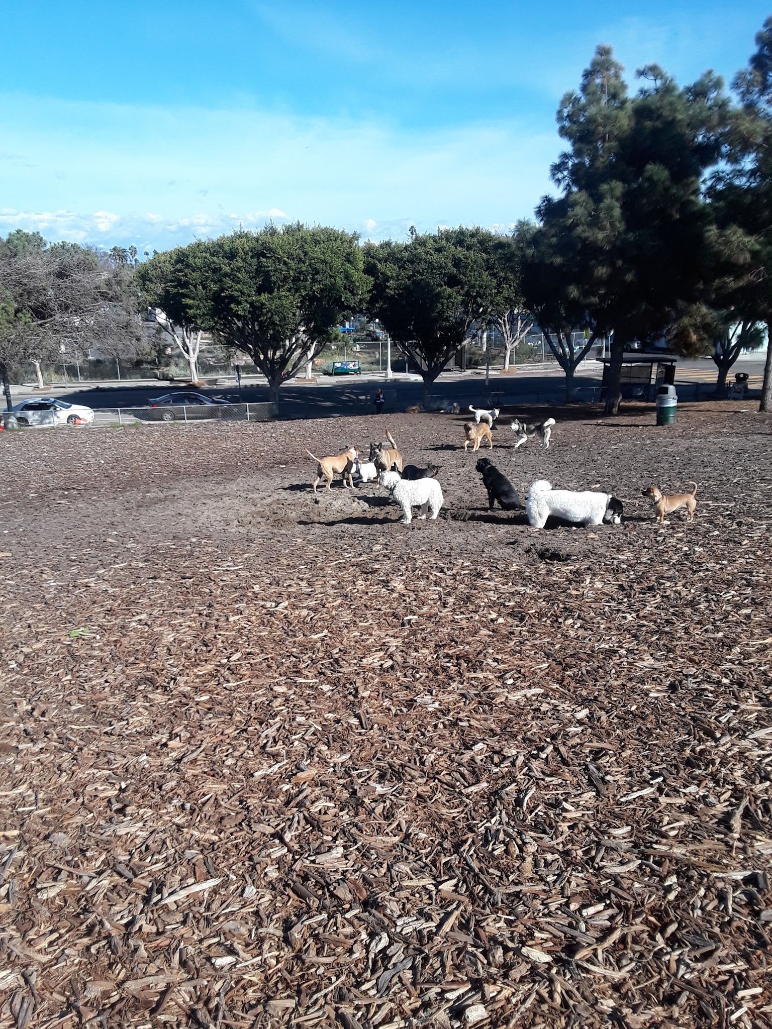 Westminster Dog Park - Venice, CA