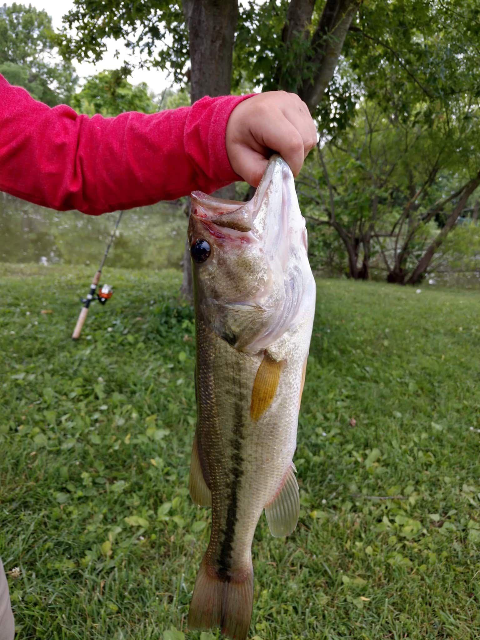 Four Lakes - Vincennes, IN