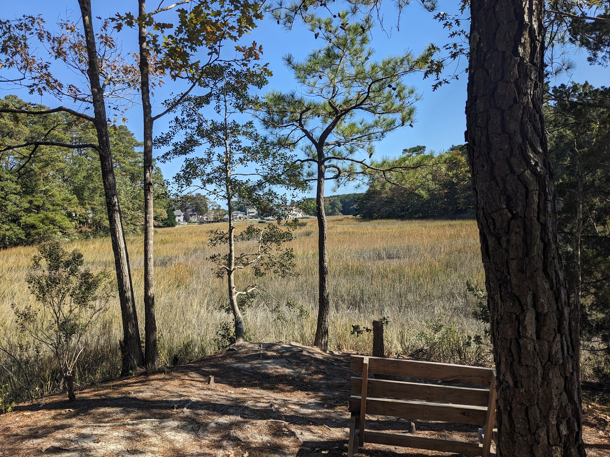 Marshview Park (Northside) - Virginia Beach, VA