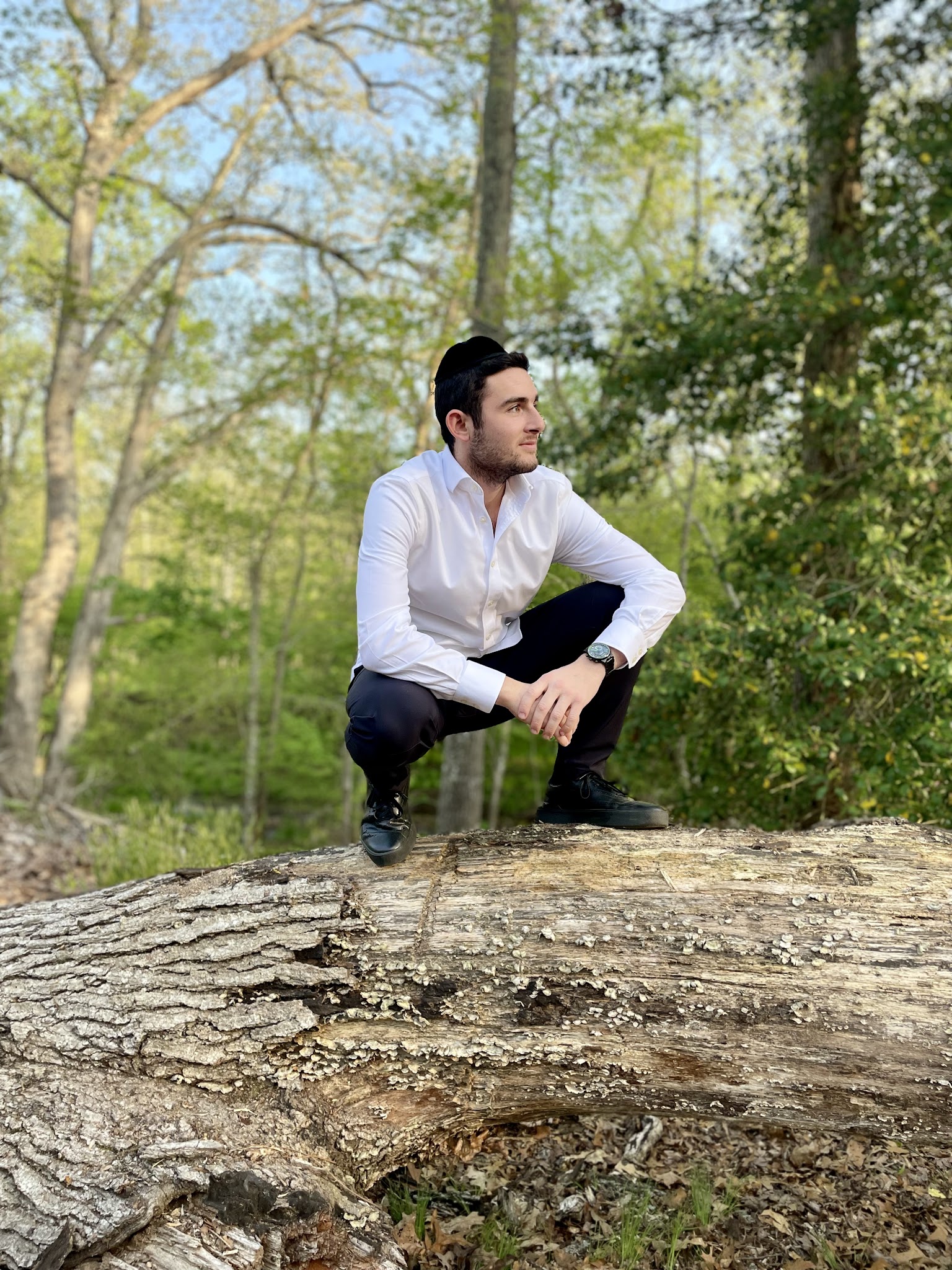 Allaire State Park Green Trail - Wall Township, NJ