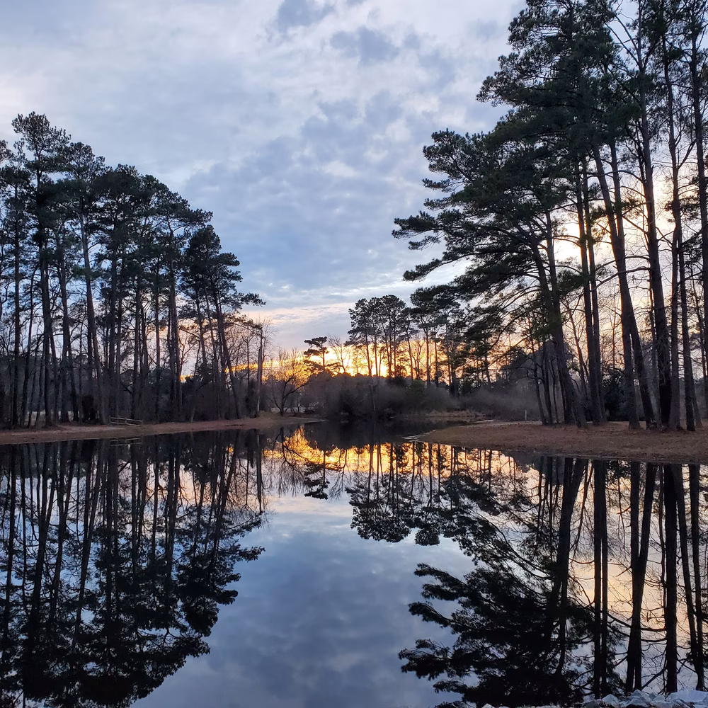 Little pond loop trail - Wallace, NC