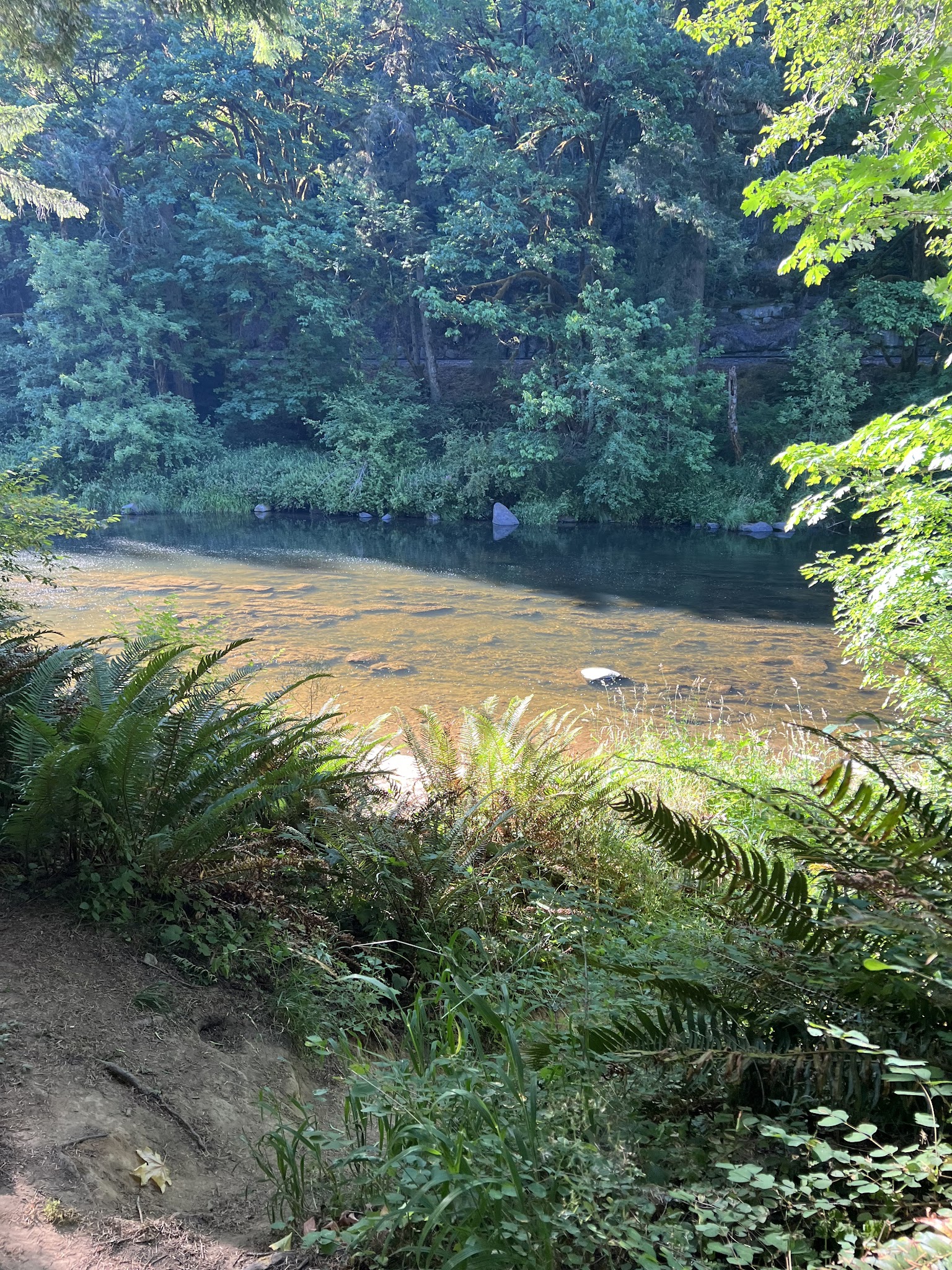 Linslaw Park - Walton, OR