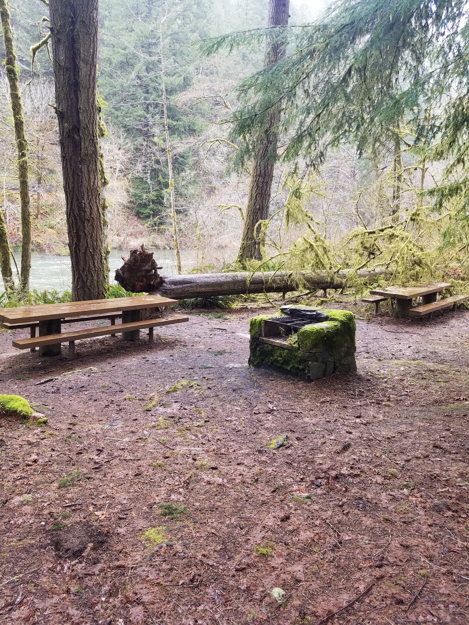 Linslaw Park - Walton, OR